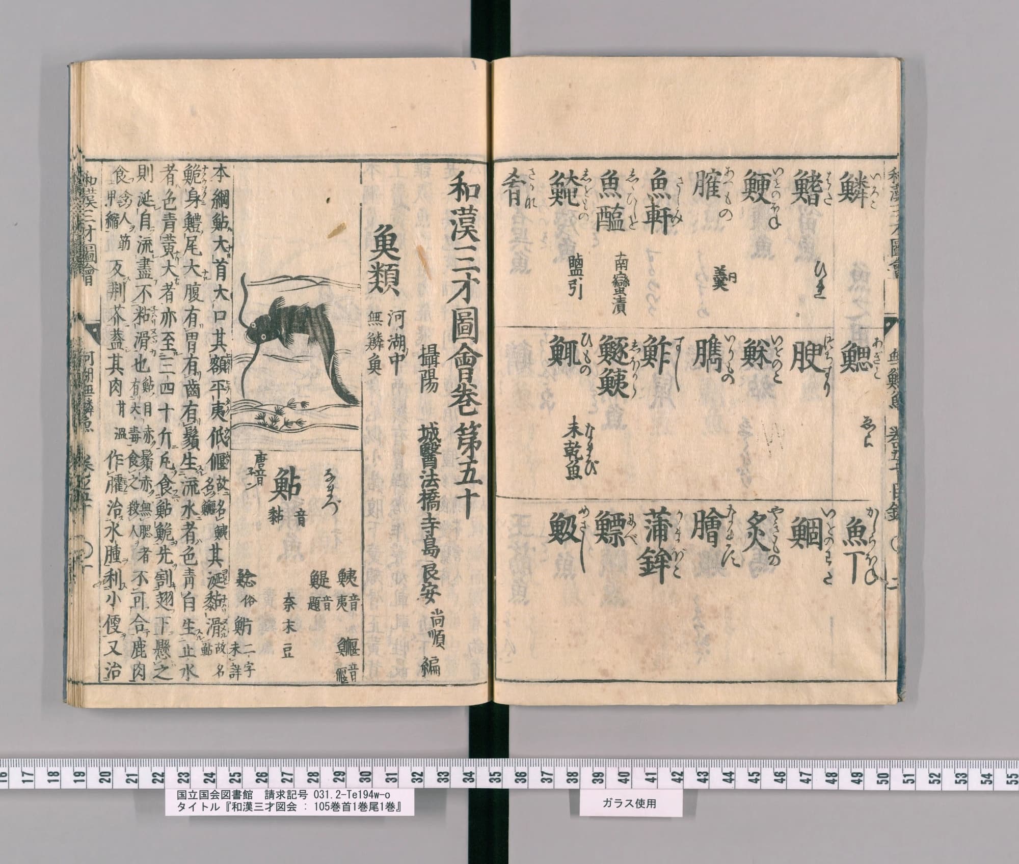 『和漢三才図会』巻五十コマ4の見開き。左ページの区画に、水草の間を泳ぐひげの長いナマズの絵と見出し「鮎」