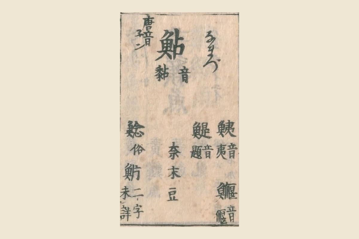 『和漢三才図会』の見出し「鮎（なまづ）音黏 唐音ネン」と、脇の「鮧」「鯷」「鰋」「奈末豆」「鯰 俗 魸 二字未詳」の大写し