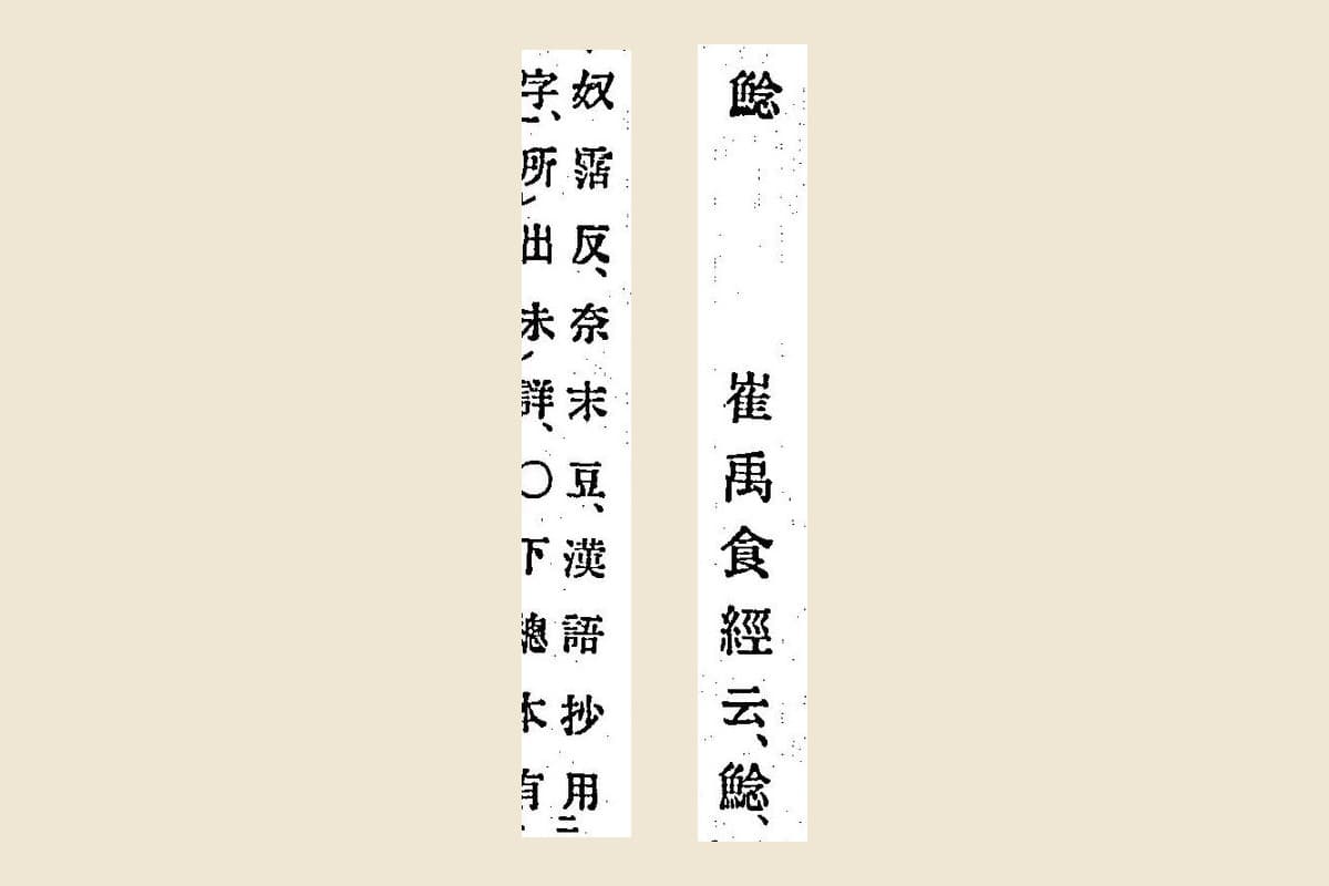 『箋注倭名類聚抄』巻八の見出し「鯰」と「崔禹食經云鯰」、続く「奴霑反奈末豆漢語抄用魸字所出未詳」の大写し