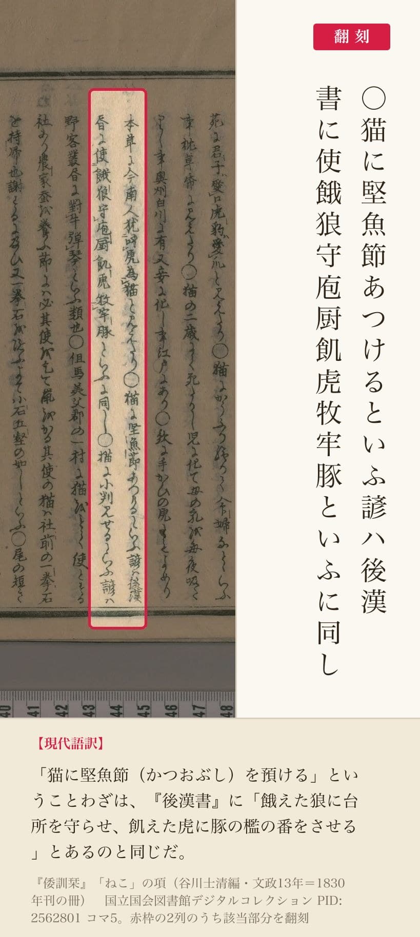 『倭訓栞』コマ5「ねこ」の項の「猫に堅魚節あつけるといふ諺ハ」の列と翻刻