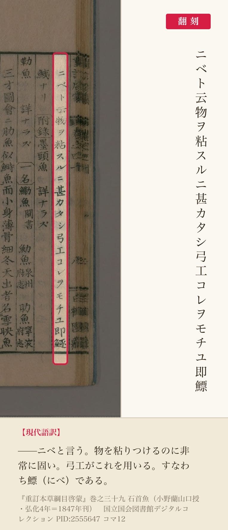 『重訂本草綱目啓蒙』コマ12の「ニベト云物ヲ粘スルニ甚カタシ弓工コレヲモチユ即鰾」の列と翻刻