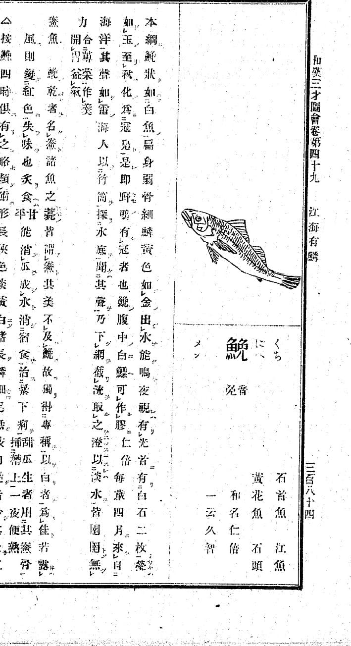 『和漢三才図会』巻四十九の「鮸」の項。上に細長い魚の線画、下に「鮸」の字と「くち／にべ」の振り仮名、別名の列