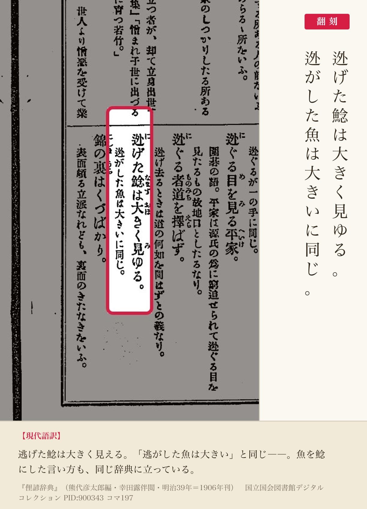 『俚諺辞典』コマ197の「迯げた鯰は大きく見ゆる」の項と翻刻