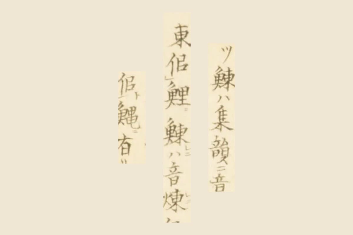 『梅園魚譜』コマ56の書き入れ「…ハ集韻ニ音」「東似鯉…ハ音煉」「似鰋有リテ」の大写し