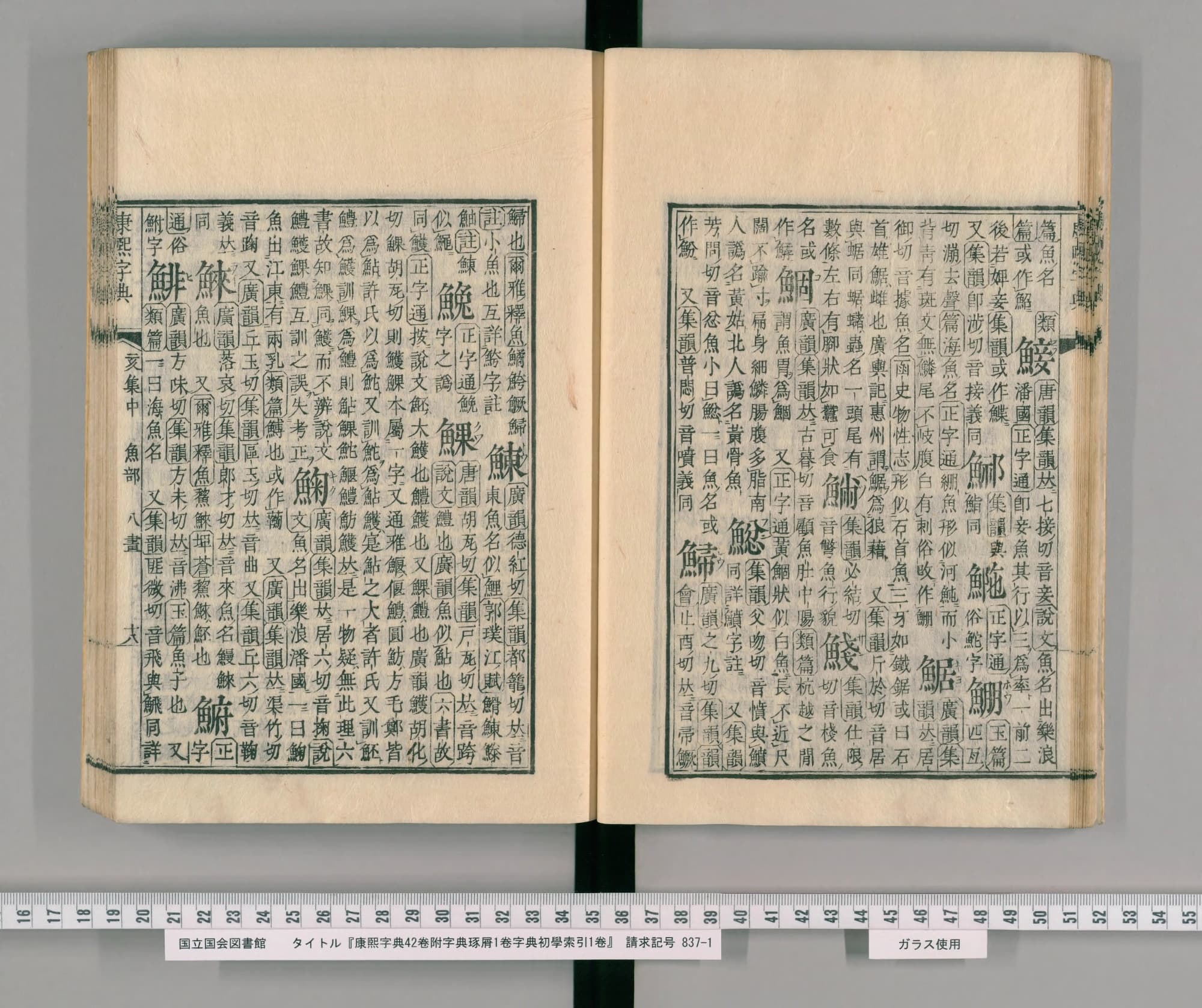 『康熙字典』和刻本の魚部コマ20の見開き。左ページに魚へんの八画の字が並ぶ