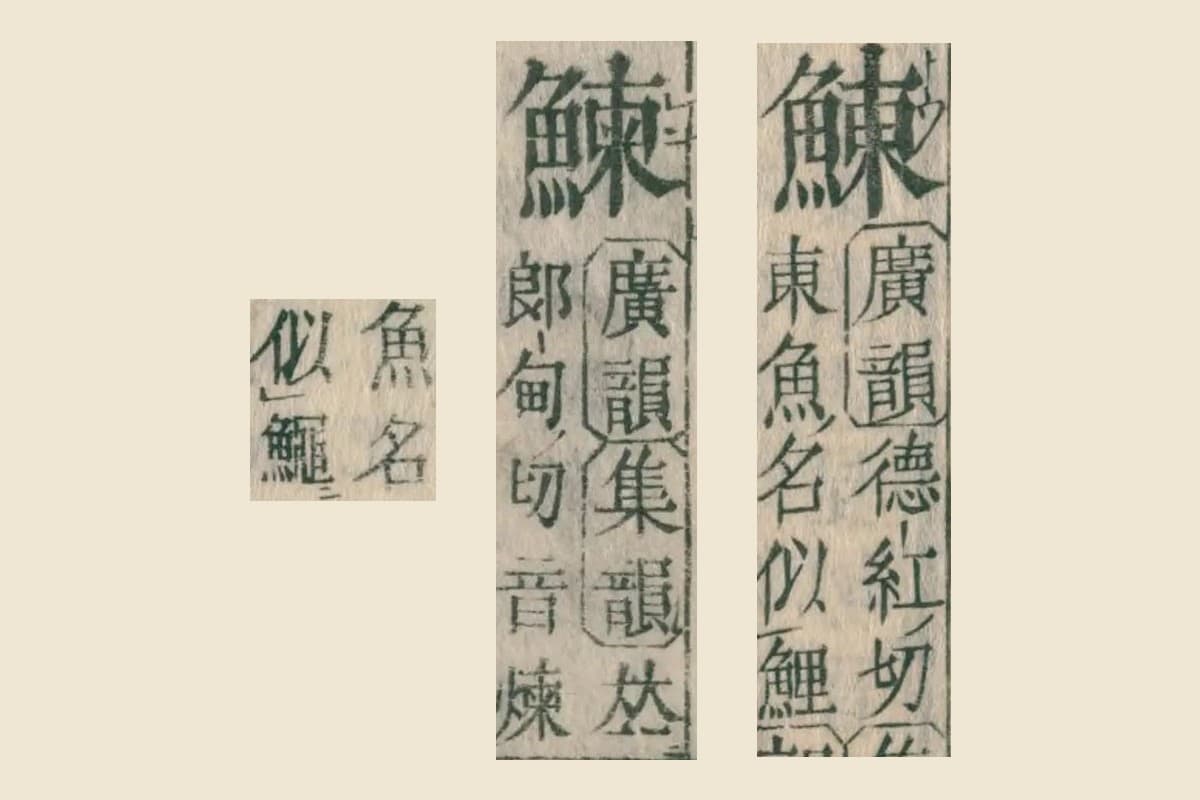 『康熙字典』の見出し「鯟」と注「廣韻 德紅切…東 魚名 似鯉」、見出し「鰊」と注「郎甸切 音煉」「魚名 似鰋」の大写し