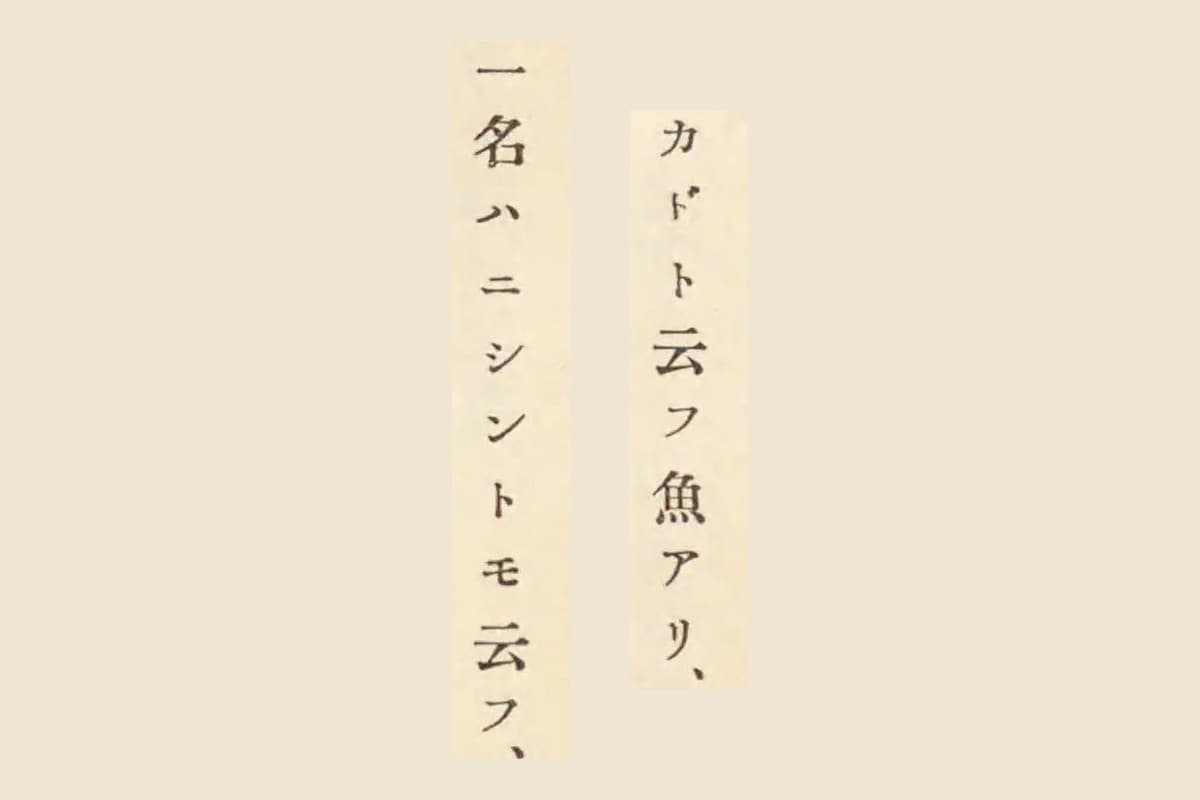 『古事類苑』所引『採藥使記』の「カドト云フ魚アリ、」「一名ハニシントモ云フ、」の大写し
