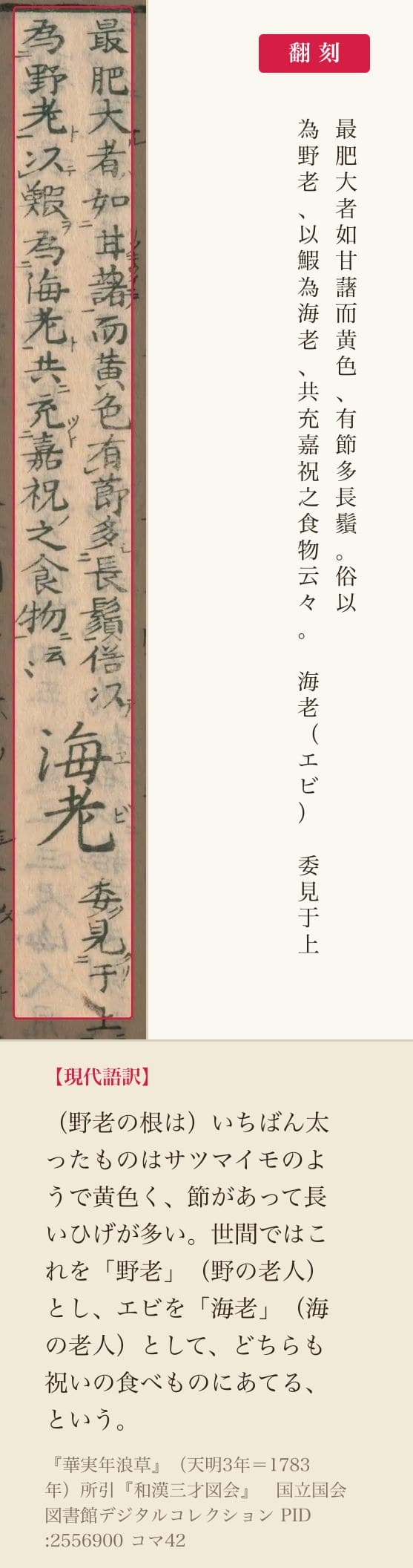 『華実年浪草』コマ42の「野老」の項の末尾二列と翻刻