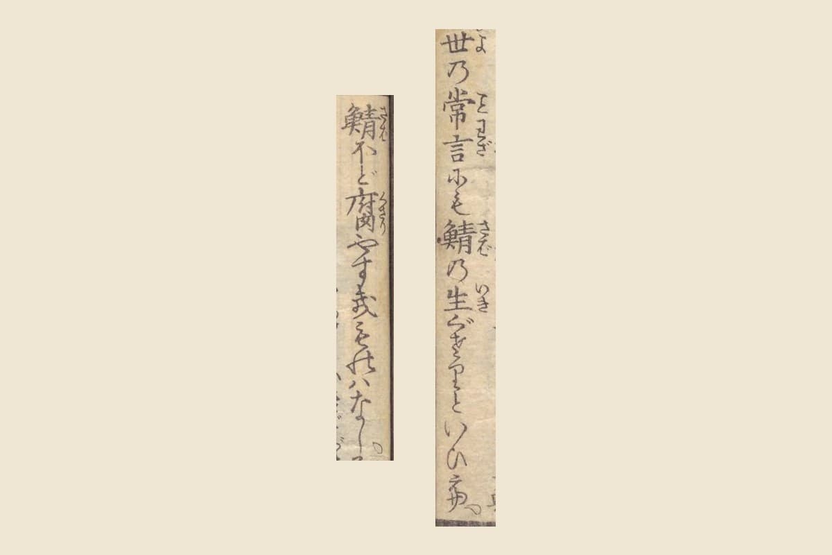 『落噺生鯖船』コマ4の「世の常言にも鯖の生ぐされといひて」と「鯖ほど腐やすき物はなし」の大写し