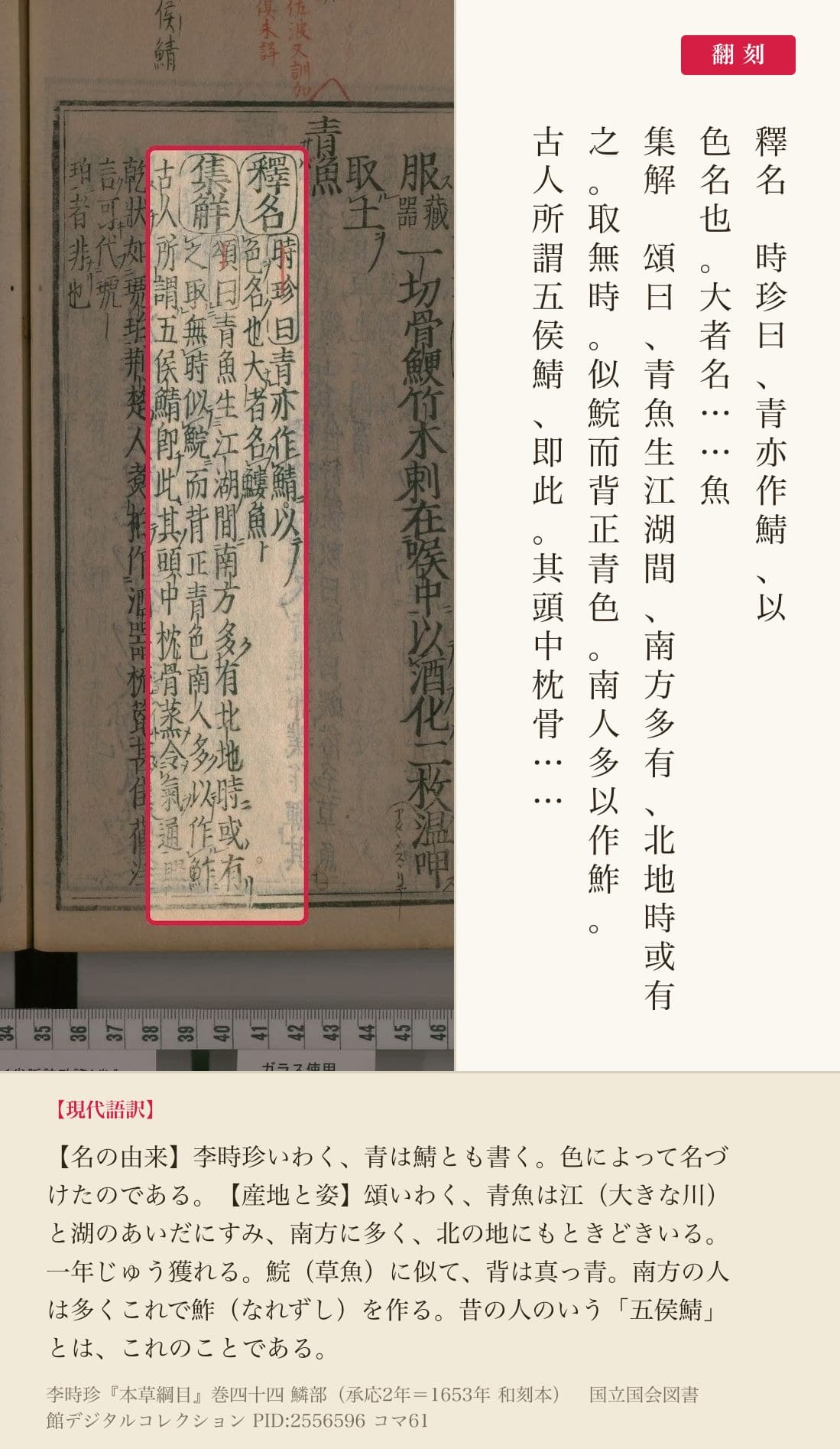 『本草綱目』巻四十四コマ61の青魚の項、釈名と集解の5列と翻刻