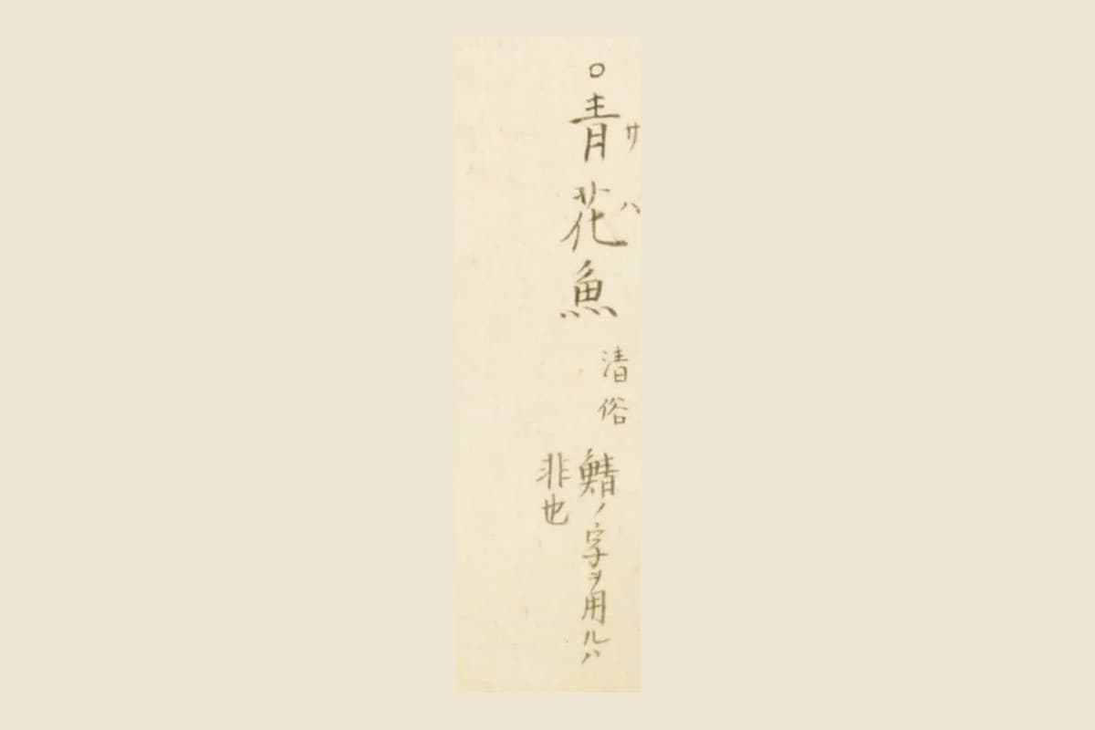 『梅園魚品図正』サバの図の書き入れ「青花魚　清俗　鯖ノ字ヲ用ルハ非也」の大写し