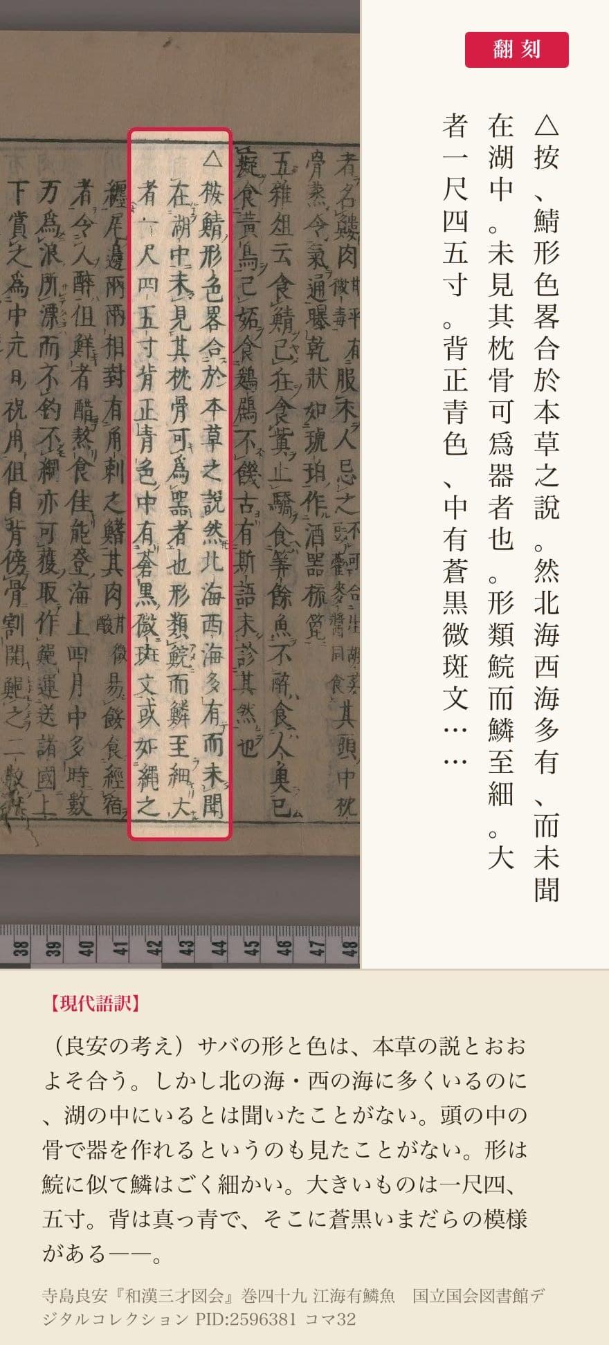 『和漢三才図会』巻四十九コマ32の「按鯖形色畧合於本草之說然北海西海多有而未聞在湖中」の3列と翻刻