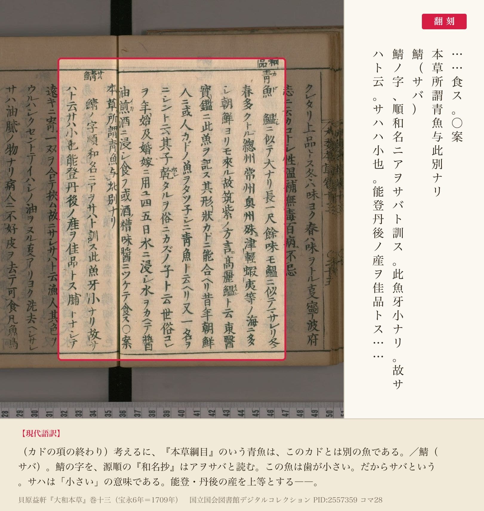 『大和本草』巻十三コマ28の「本草所謂青魚与此別ナリ」と、続く鯖の項の冒頭の翻刻