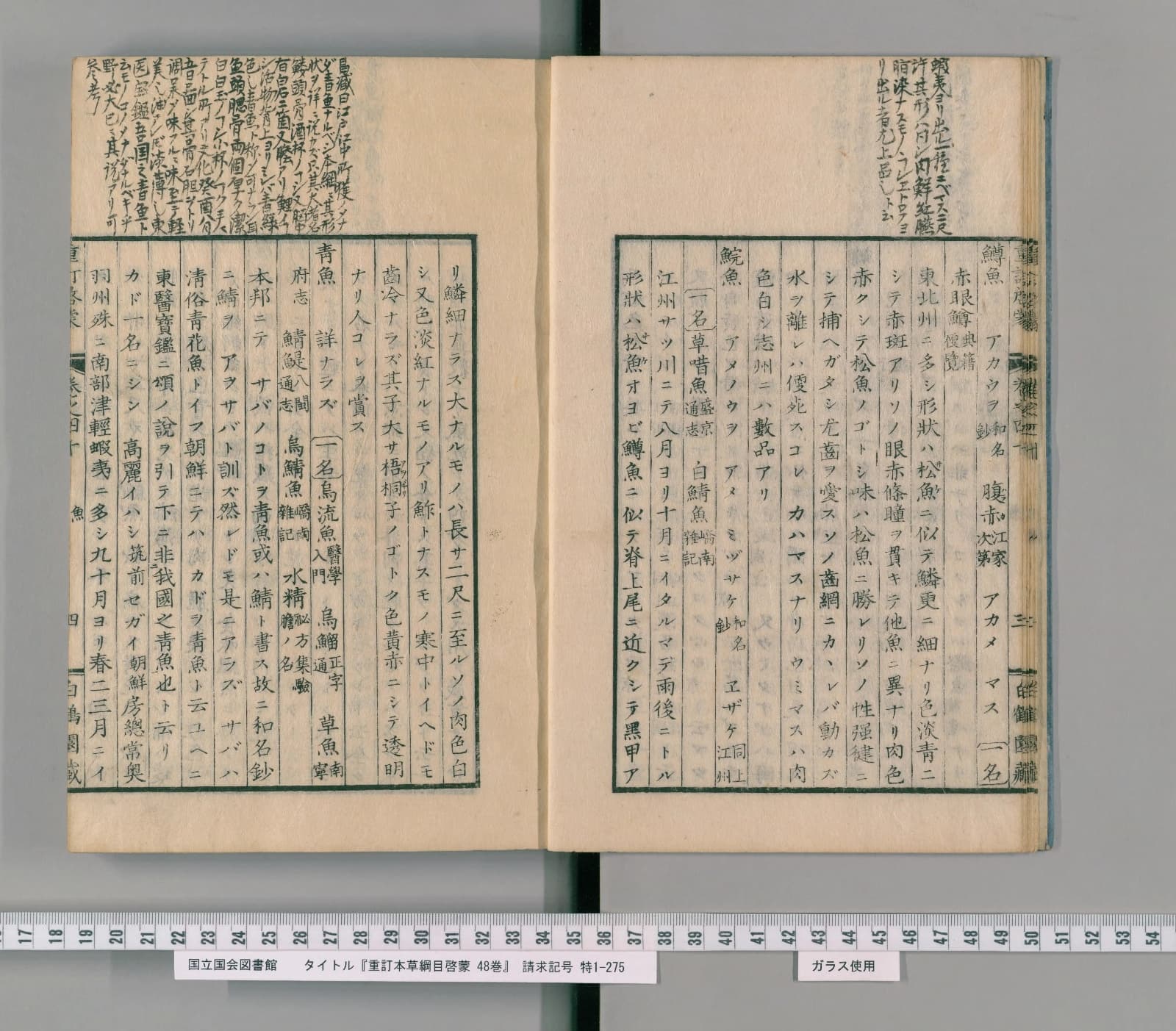 『本草綱目啓蒙』鱗部 鯖の項 コマ7 見開き全体
