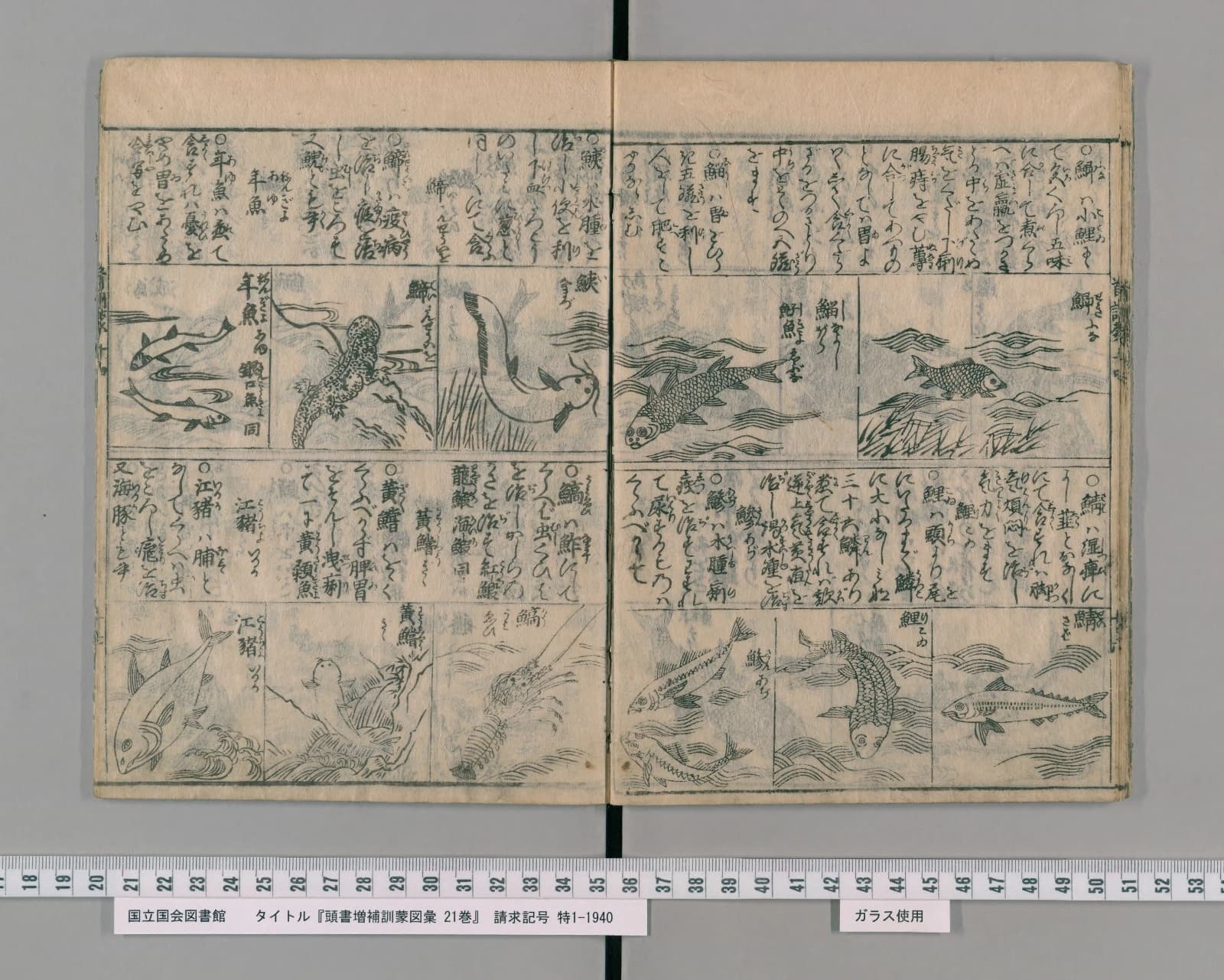 『頭書増補訓蒙図彙』巻14 水族の部 コマ18 見開き全体