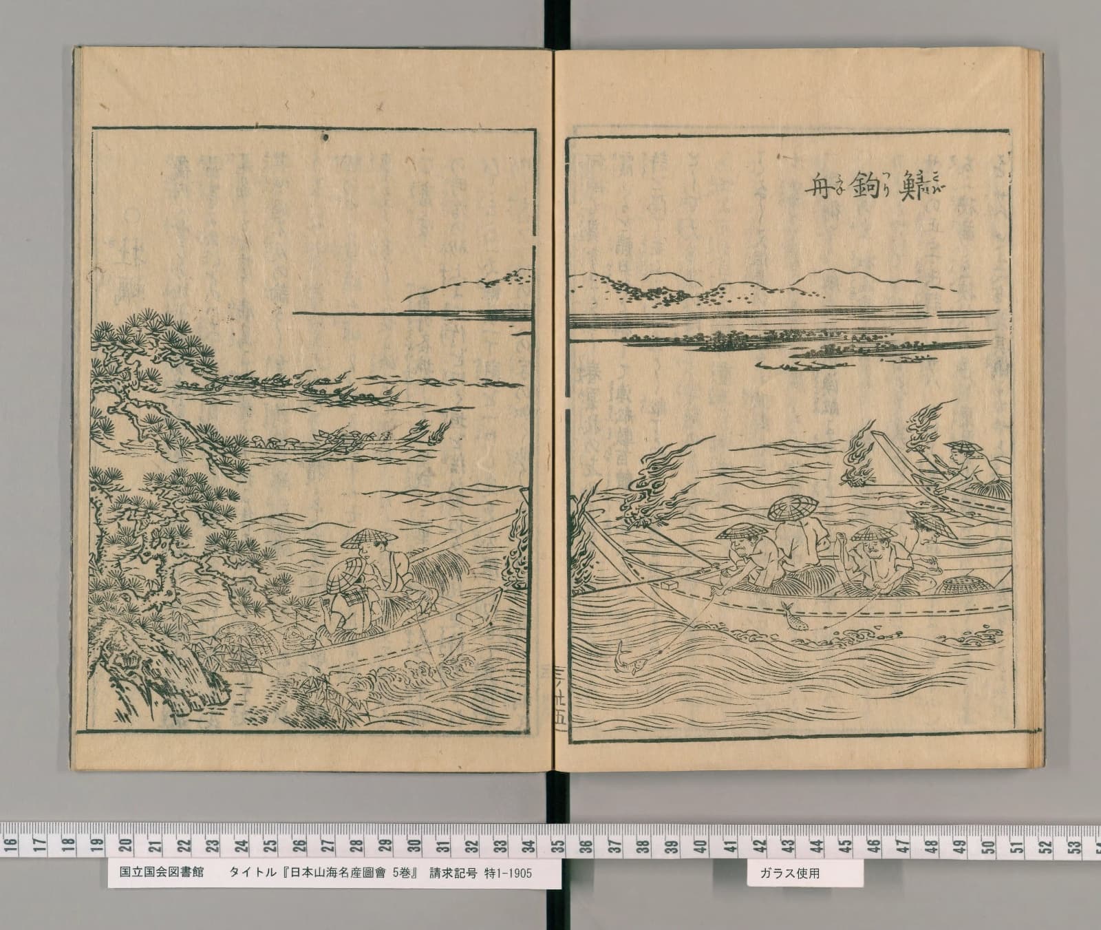 『日本山海名産図会』巻三「鯖釣舟」コマ27