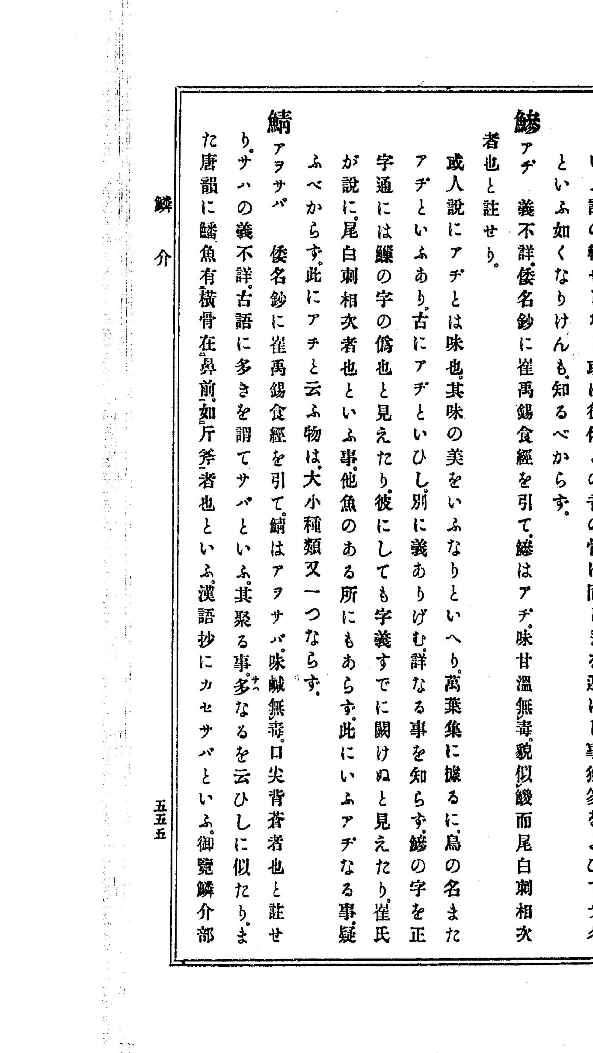 『東雅』鱗介部 鯖の項 クローズアップ コマ34