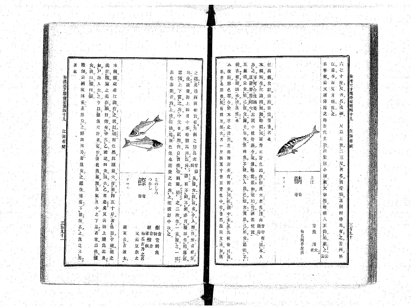 『和漢三才図会』江海有鱗 鯖の項 コマ202 見開き全体
