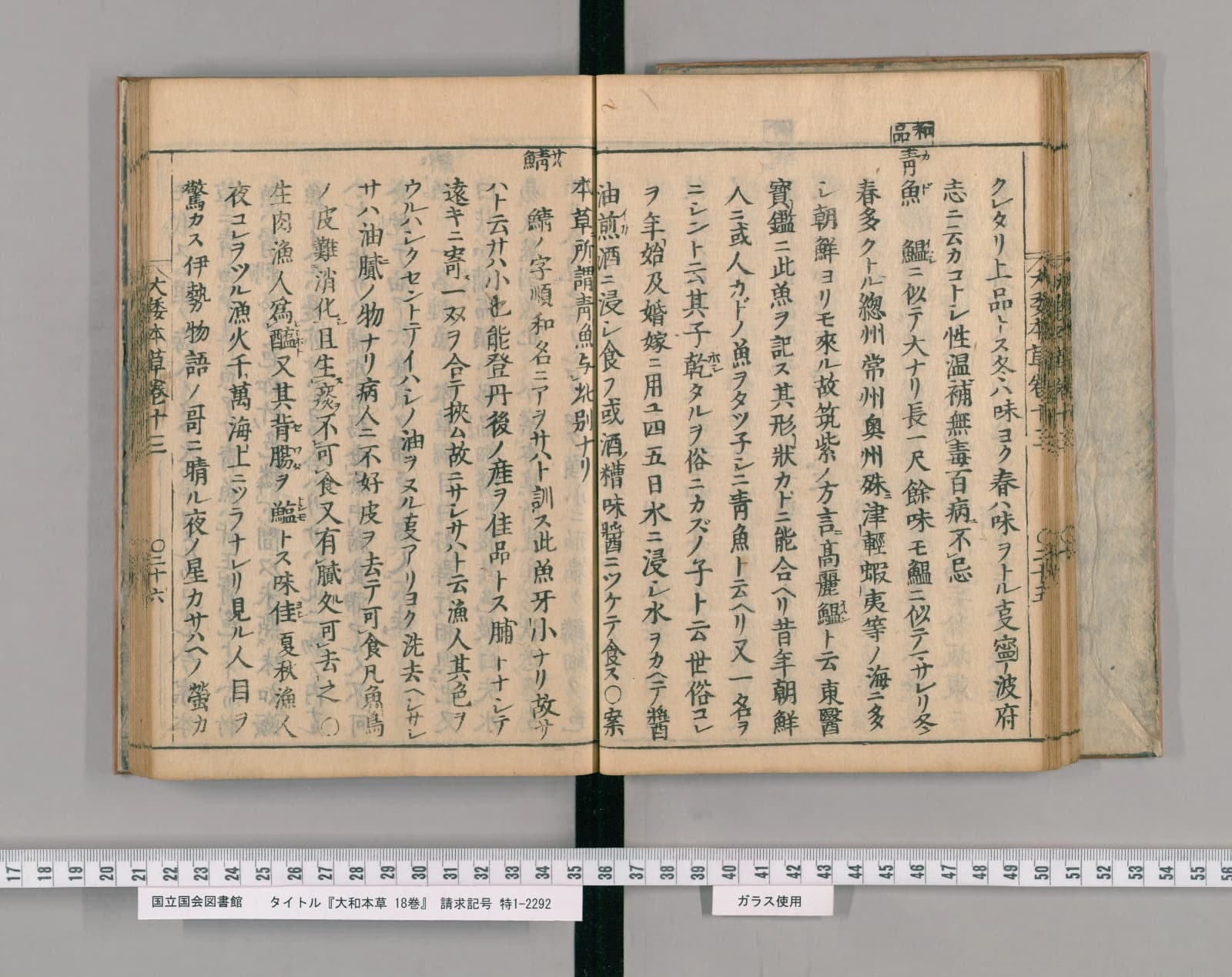 『大和本草』巻13 魚類 コマ28 見開き全体