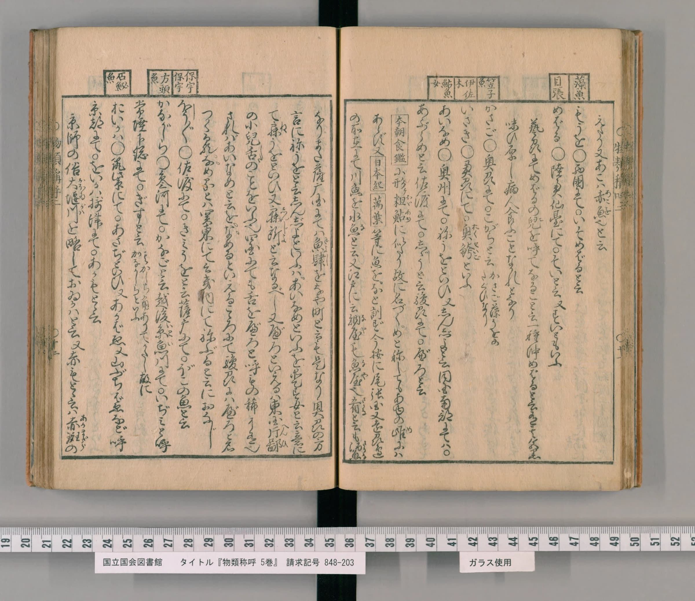『物類称呼』巻二コマ31の見開き。枠で囲んだ魚の名の見出しの下に、くずし字まじりで各地の呼び名が並ぶ