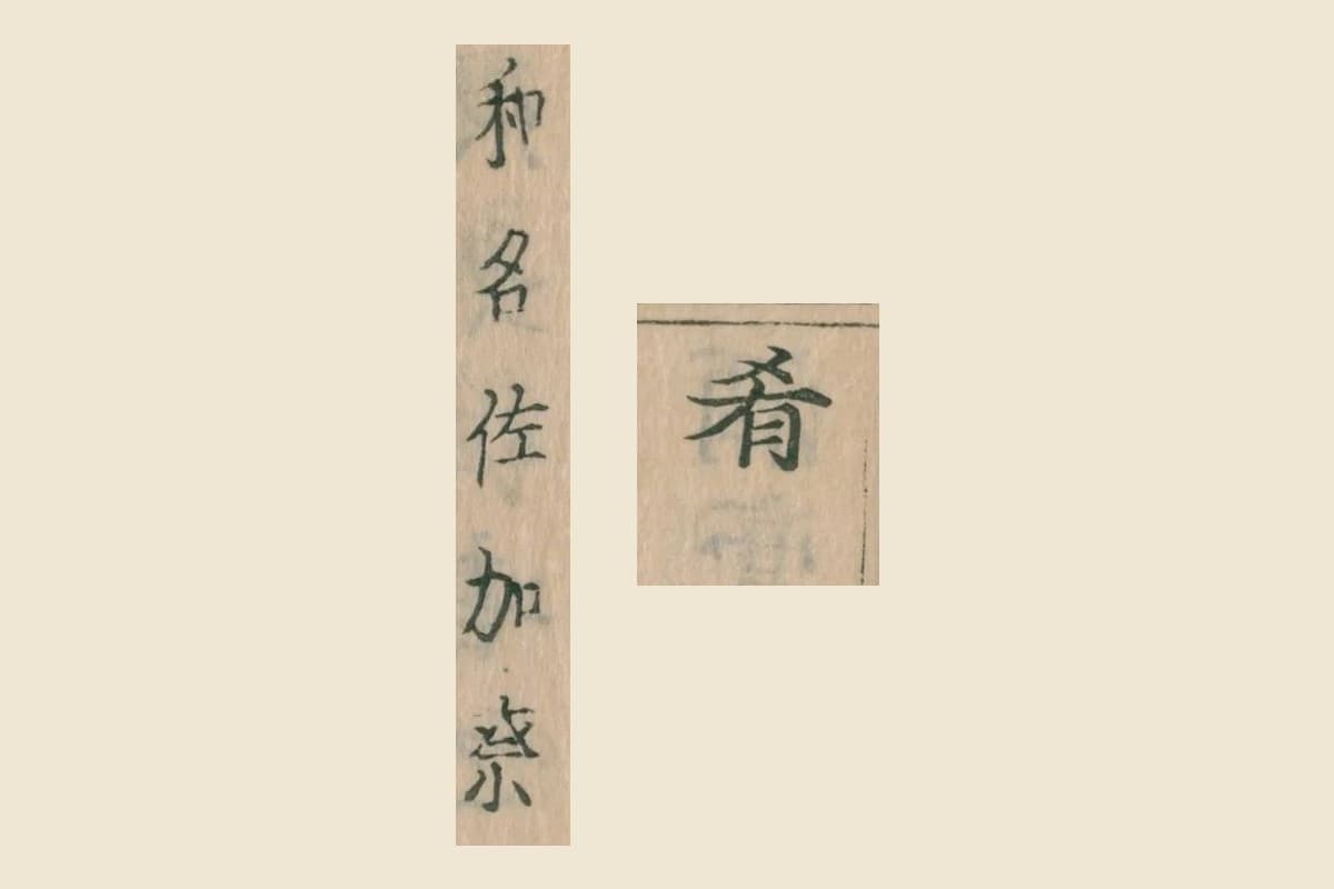 『倭名類聚鈔』コマ30から見出しの「肴」と注の「和名佐加奈」を大きく切り出したもの