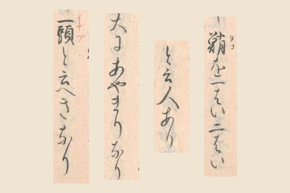 「諸聞書条々」の「蛸を一はい二はい」「と云人あり」「大にあやまりなり」「一頭と云へきなり」の大写し