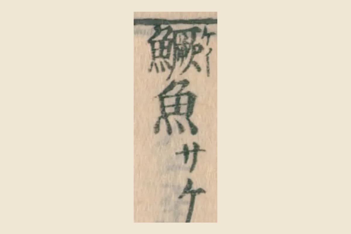 『大和本草』巻13 コマ5 見出し「鱖魚（サケ）」の大写し