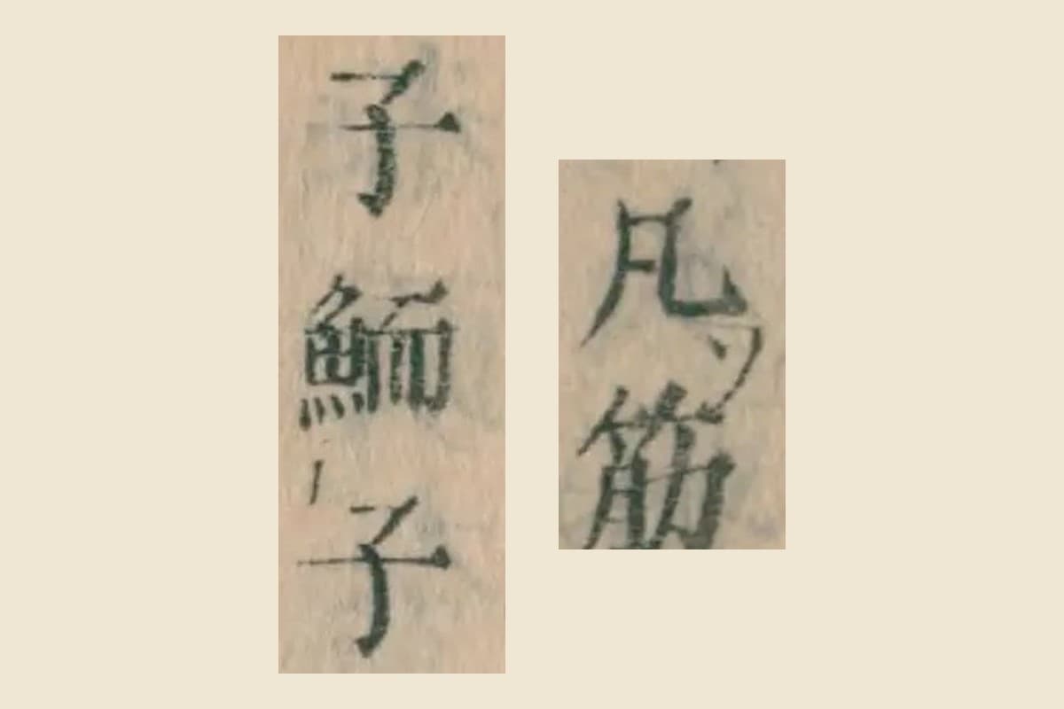 『本朝食鑑』巻七コマ143の「凡筋」「子鮞子」の大写し