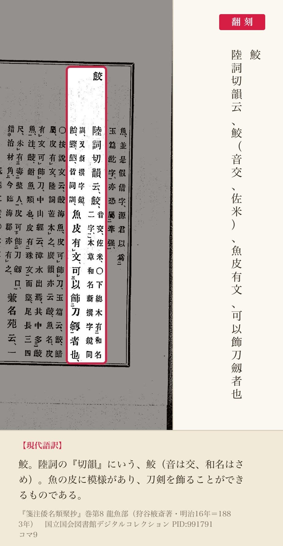 『箋注倭名類聚抄』巻八コマ9の見出し「鮫」と「陸詞切韻云、鮫（音交、佐米）、魚皮有文、可以飾刀劔者也」の翻刻
