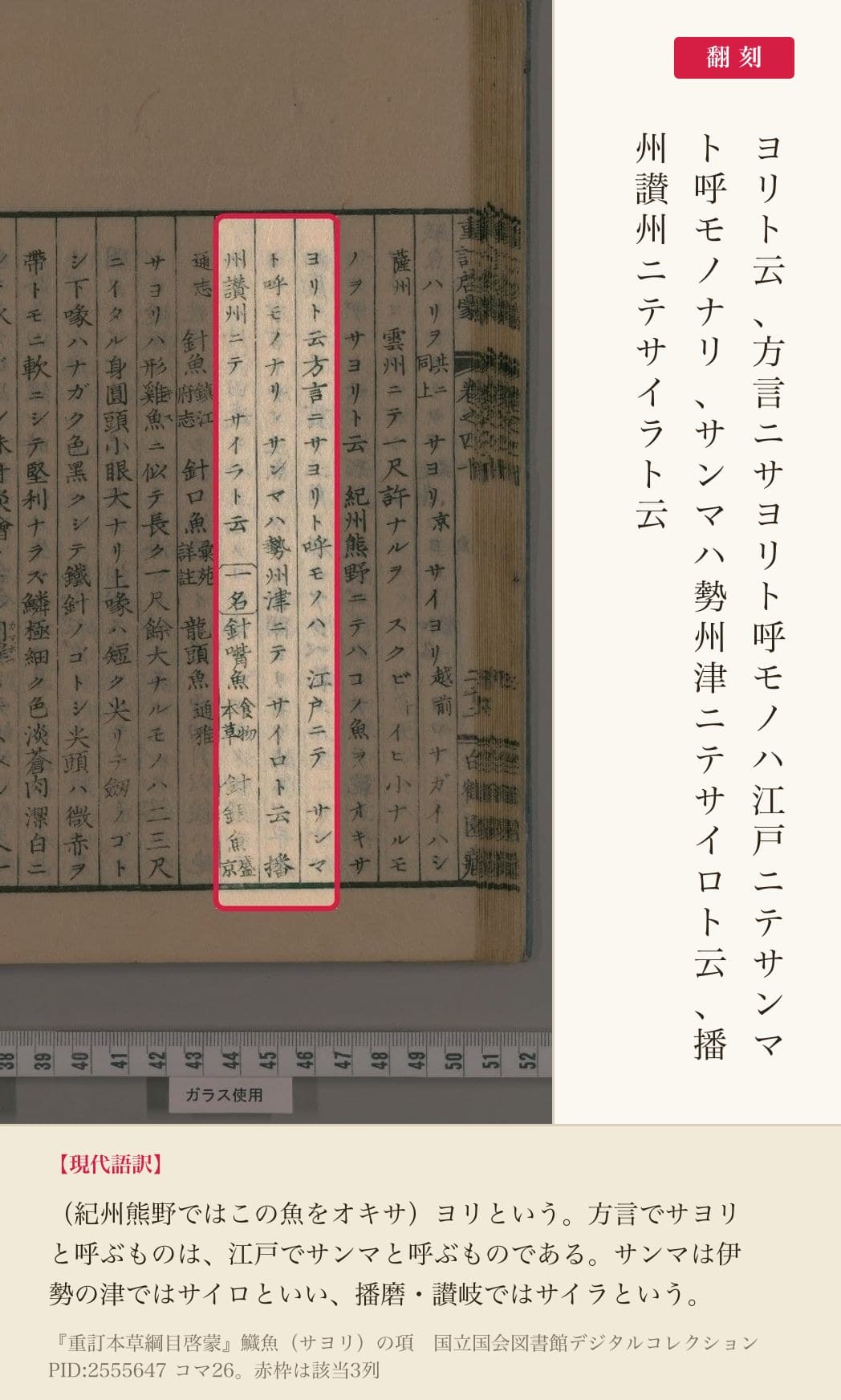 『重訂本草綱目啓蒙』鱵魚の項、サヨリとサンマの呼び分けを記した3列と翻刻