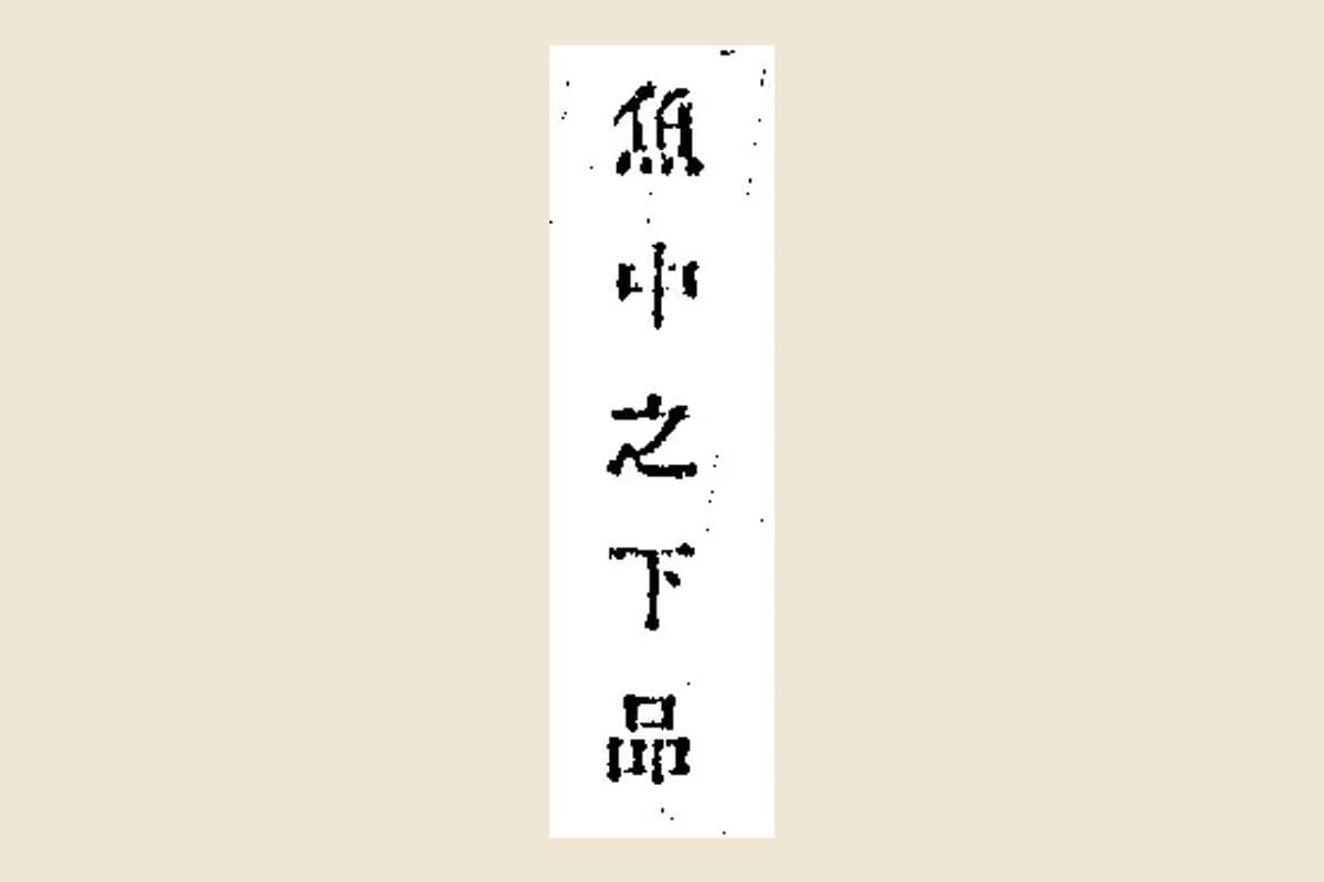 『和漢三才図会』「佐伊羅魚」本文の「魚中之下品」の大写し