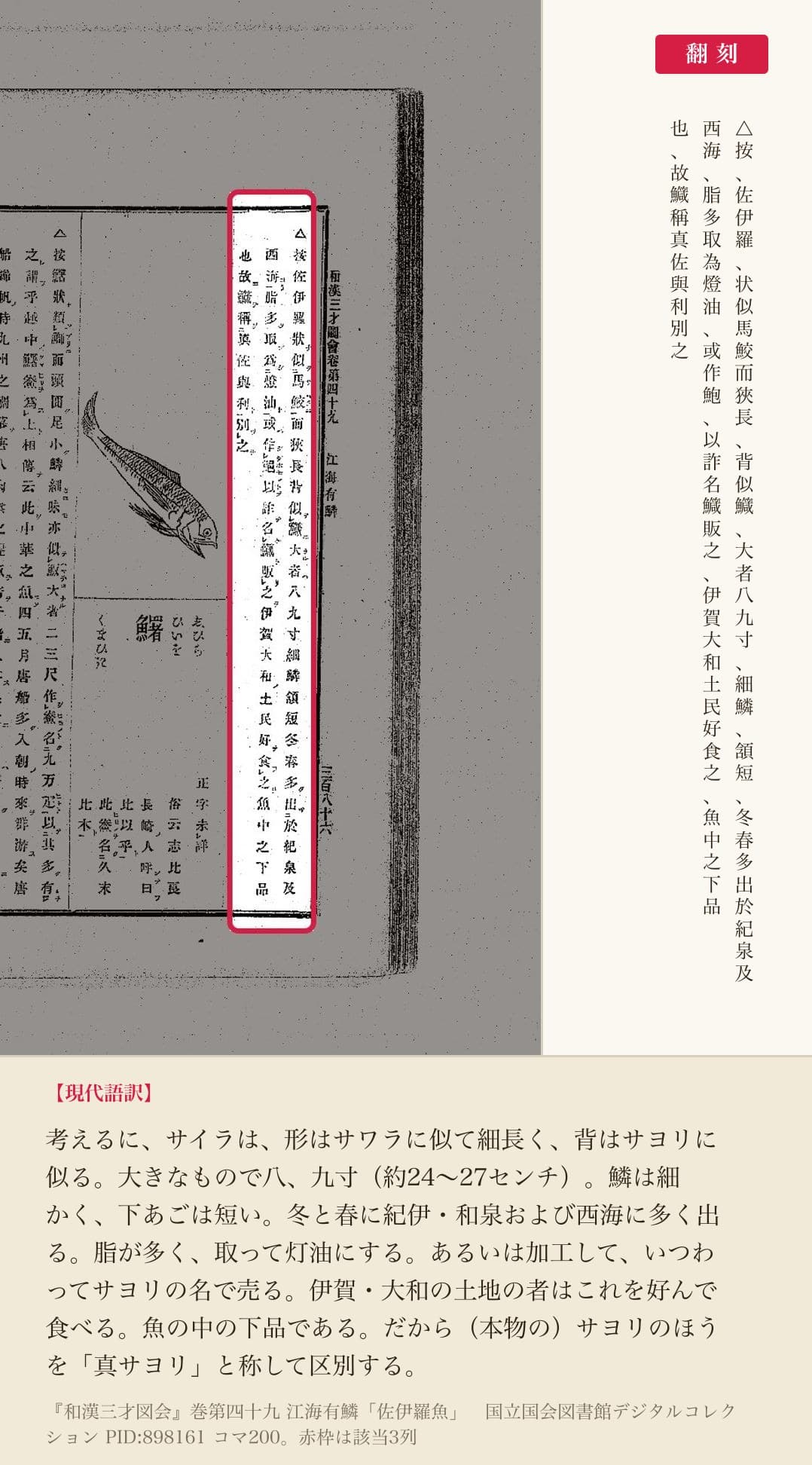 『和漢三才図会』巻第四十九「佐伊羅魚」の本文3列と翻刻