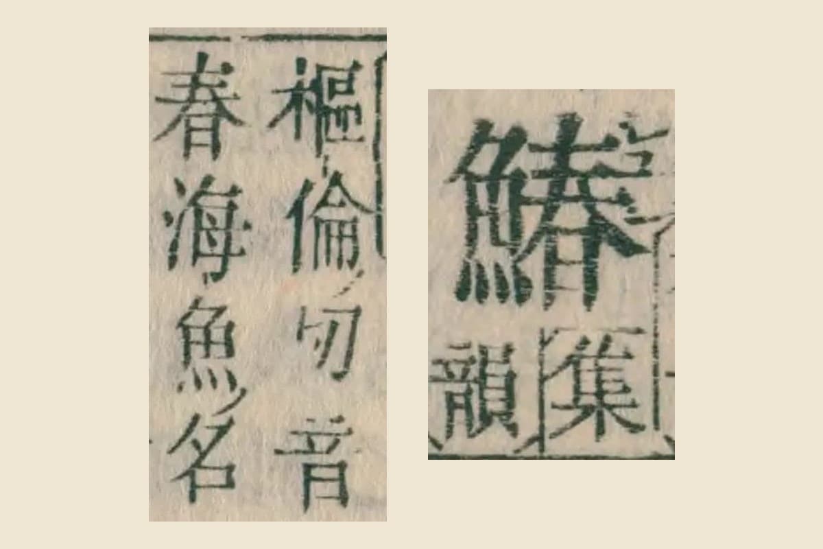 『康熙字典』（和刻本）魚部の「鰆」の見出しと注の大写し