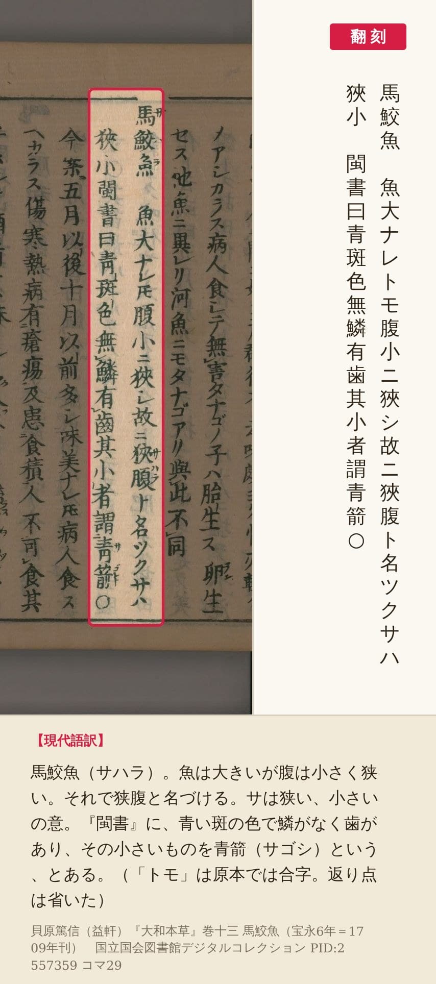 『大和本草』コマ29の馬鮫魚の2列の赤枠と翻刻