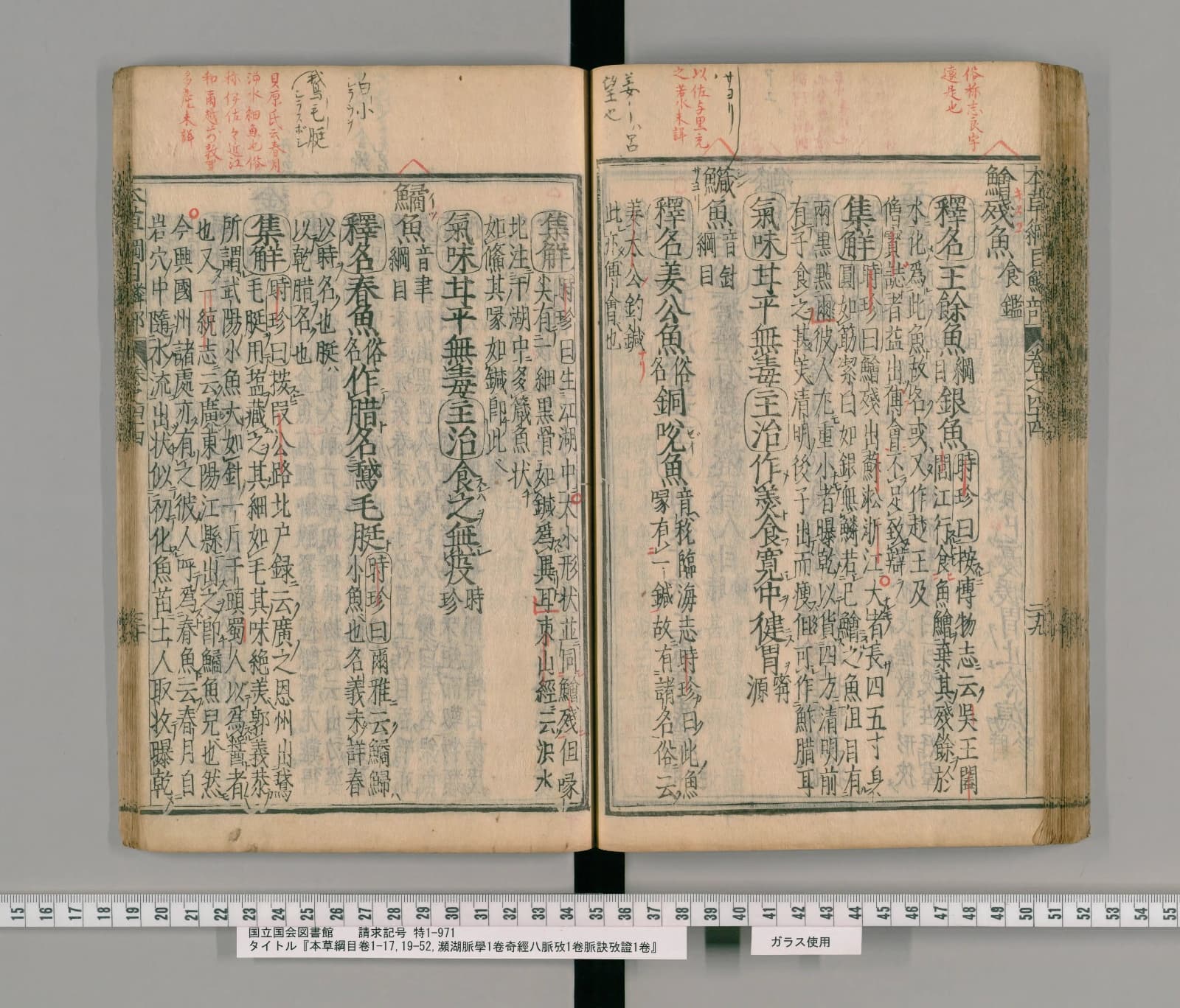 『本草綱目』巻四十四コマ77の見開き。右ページ左寄りに見出し「鱵魚」、左ページの右端にその集解