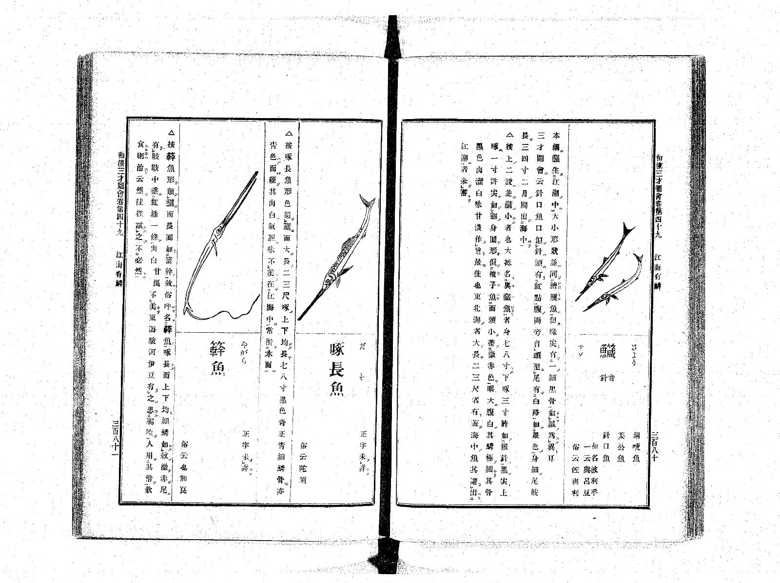 『和漢三才図会』巻四十九の見開き。右ページに二匹のサヨリの図と見出し「鱵」