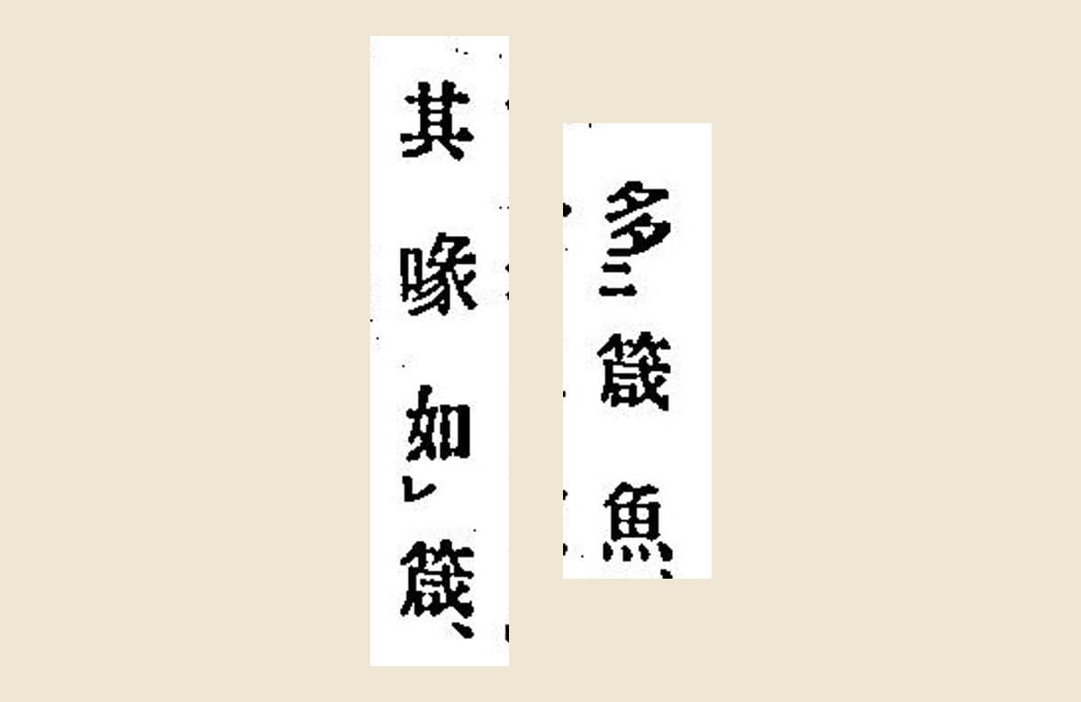 『箋注倭名類聚抄』コマ13の「多箴魚」と「其喙如箴」の大写し