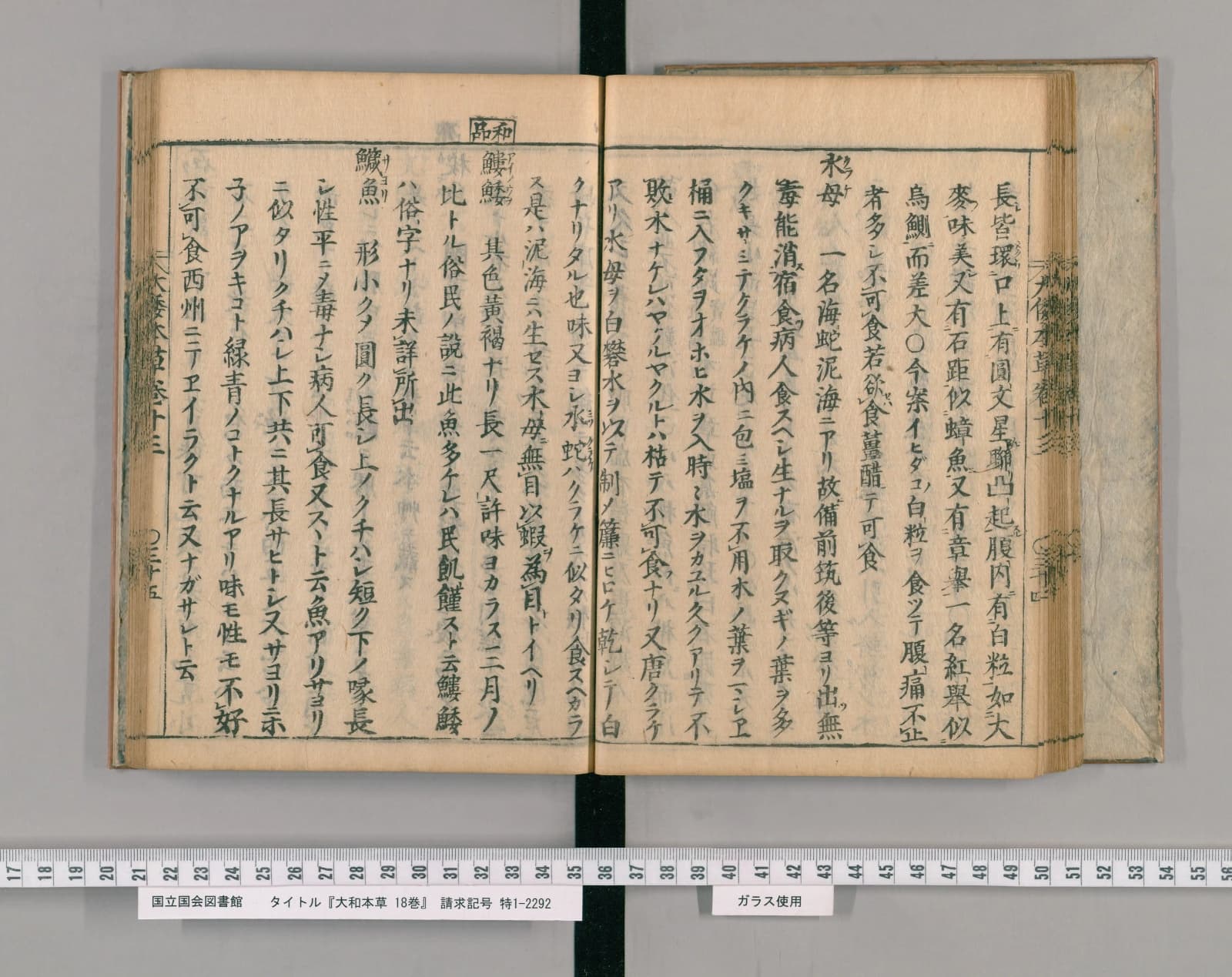 『大和本草』巻十三コマ37の見開き。左ページの中ほどに見出し「鱵魚」