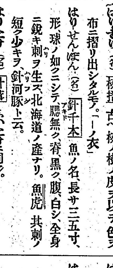 『言海』の項目「はりせんぼん」の部分。説明の末尾に漢名「魚虎」