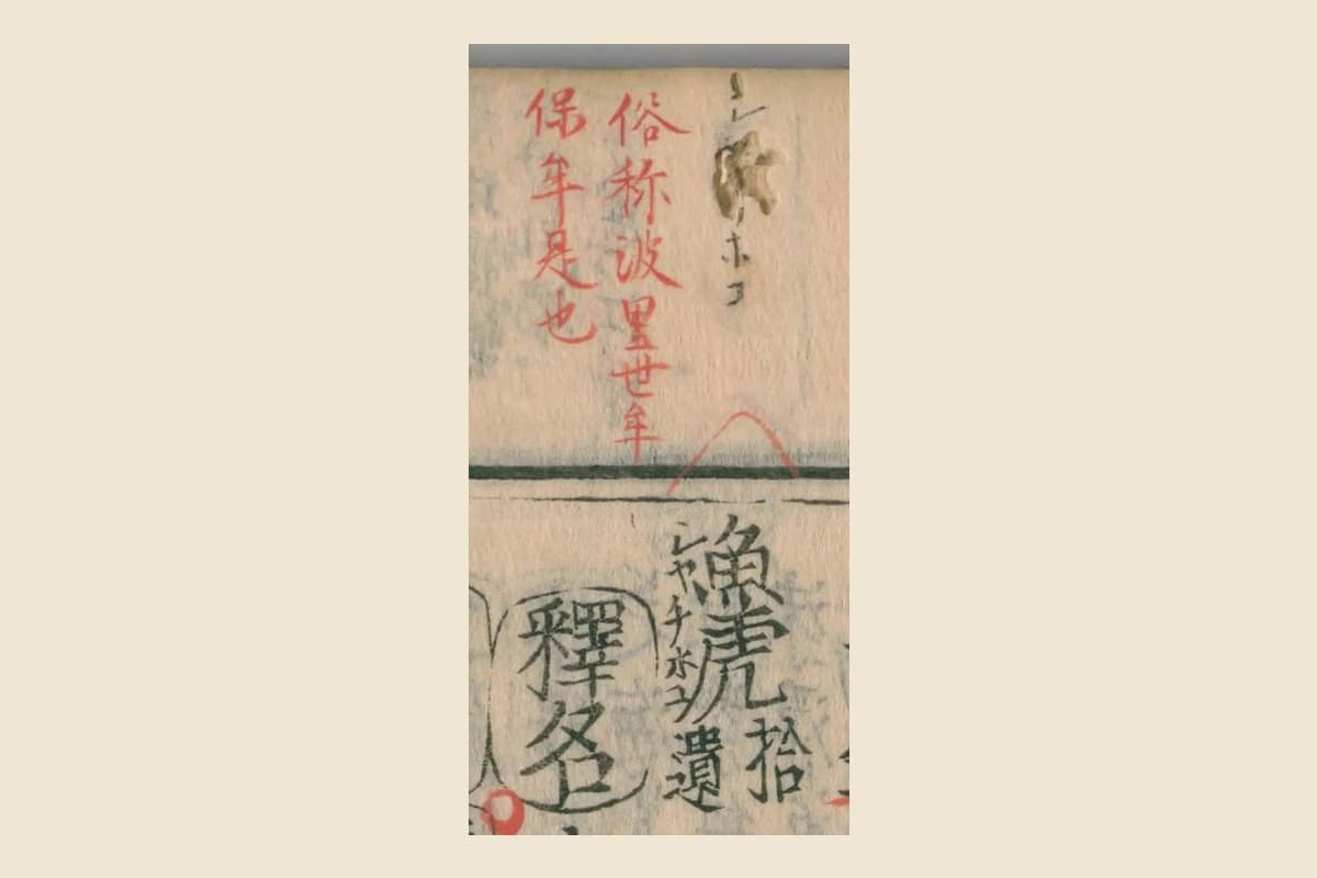 『本草綱目』の見出し「魚虎」と振り仮名「シヤチホコ」、上の余白の朱の書き入れ「俗称波里世年保年是也」の大写し