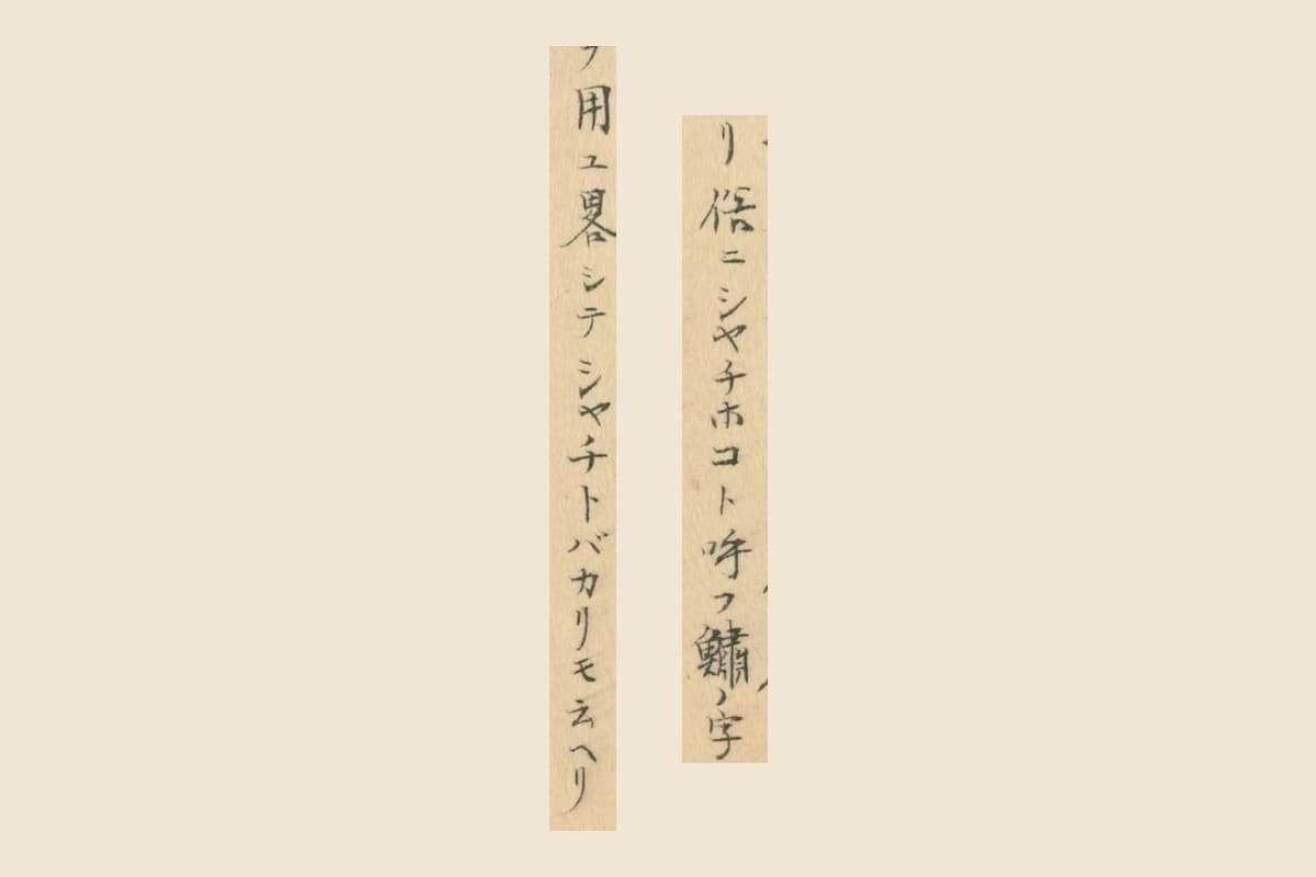 『鯨及海豚之図』の「俗ニシヤチホコト呼フ鱐ノ字」と「ヲ用ユ畧シテシヤチトバカリモ云ヘリ」の2列の大写し