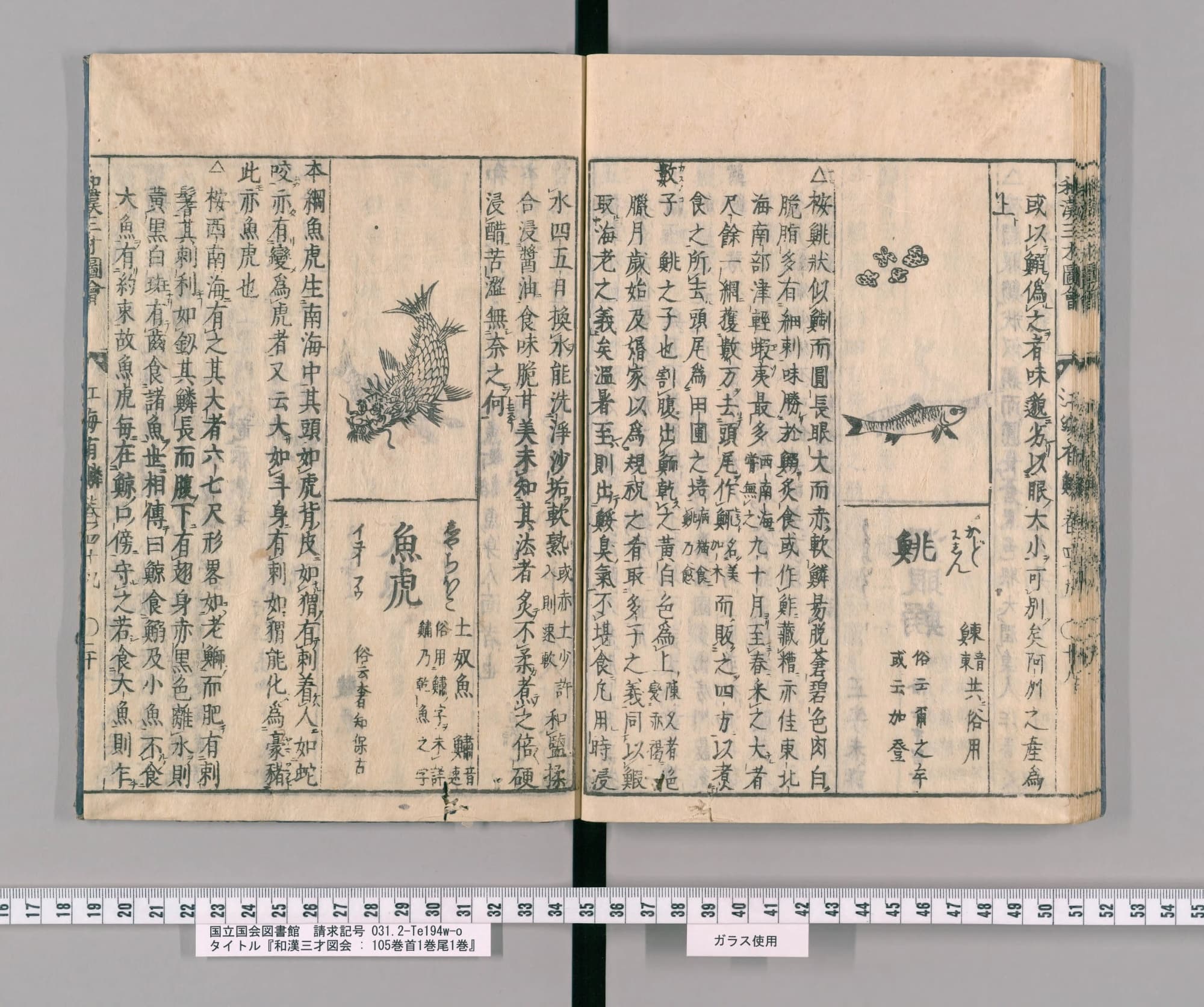 『和漢三才図会』巻四十九コマ37の見開き。左ページの区画に、龍のような頭をした魚の絵と見出し「魚虎」