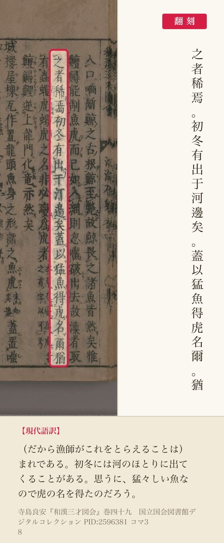 『和漢三才図会』コマ38の「之者稀焉初冬有出于河邊矣蓋以猛魚得虎名爾猶」の1列と翻刻