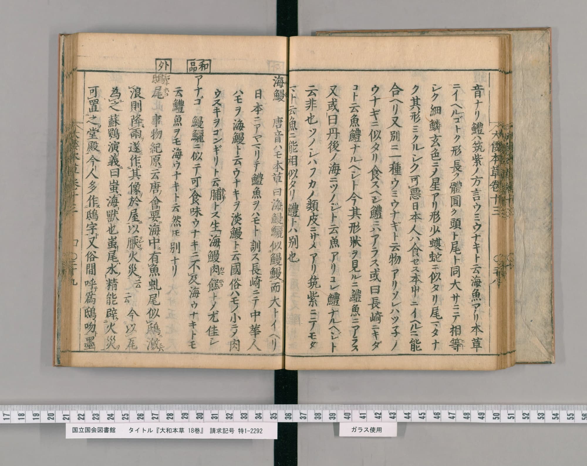 『大和本草』巻十三コマ31の見開き。左ページの左端に見出し「鴟尾」