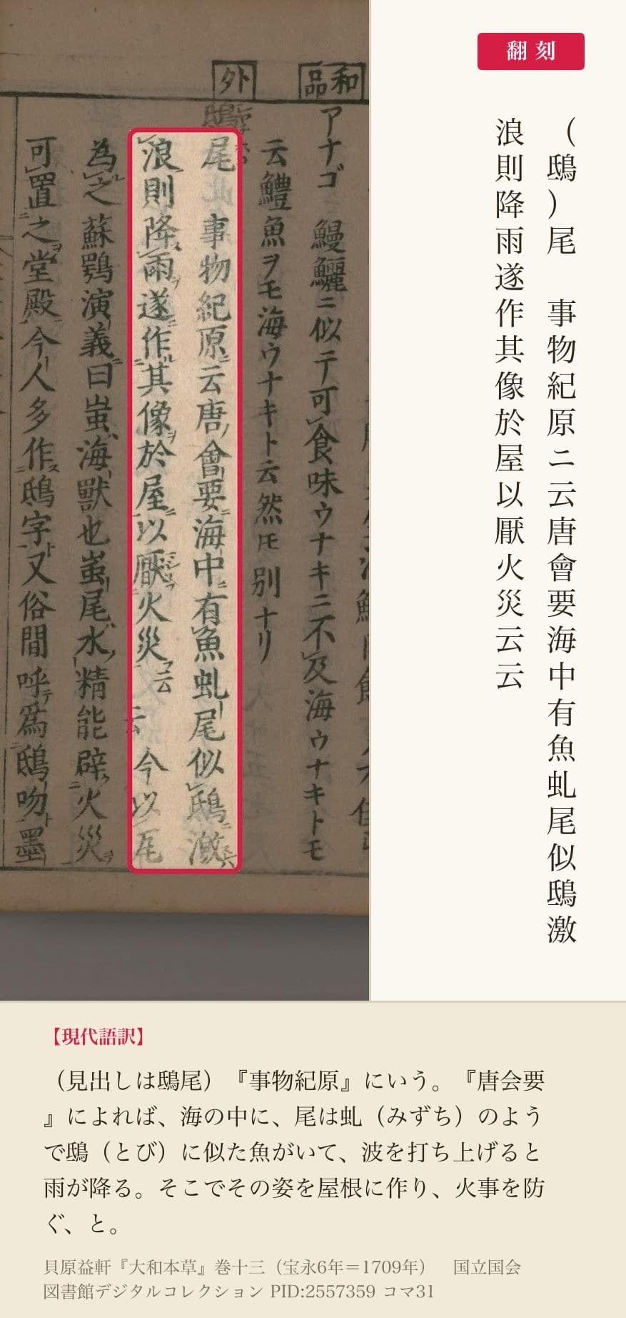 『大和本草』コマ31の「事物紀原ニ云唐會要海中有魚虬尾似鴟激」と「浪則降雨遂作其像於屋以厭火災云云」の2列と翻刻