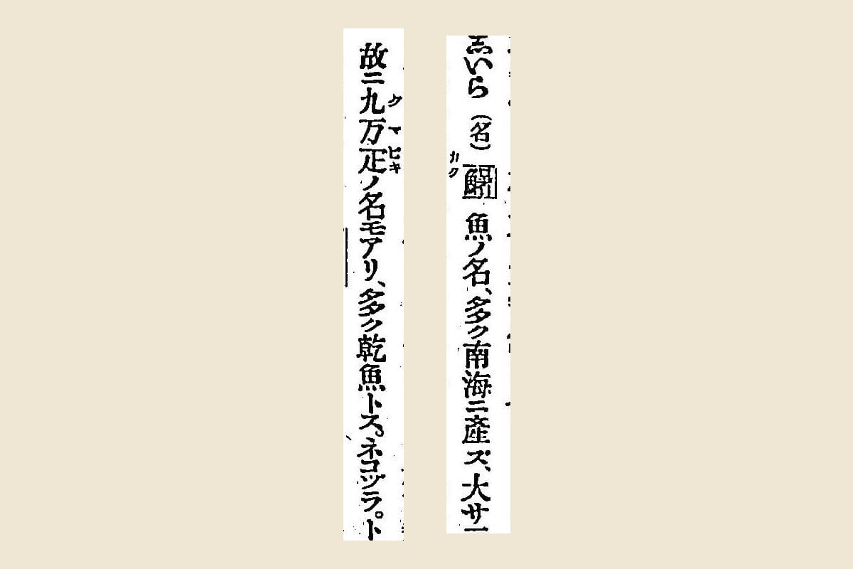 『言海』コマ289の見出し「しいら（名）」と「故ニ九万疋ノ名モアリ、多ク乾魚トス」の大写し