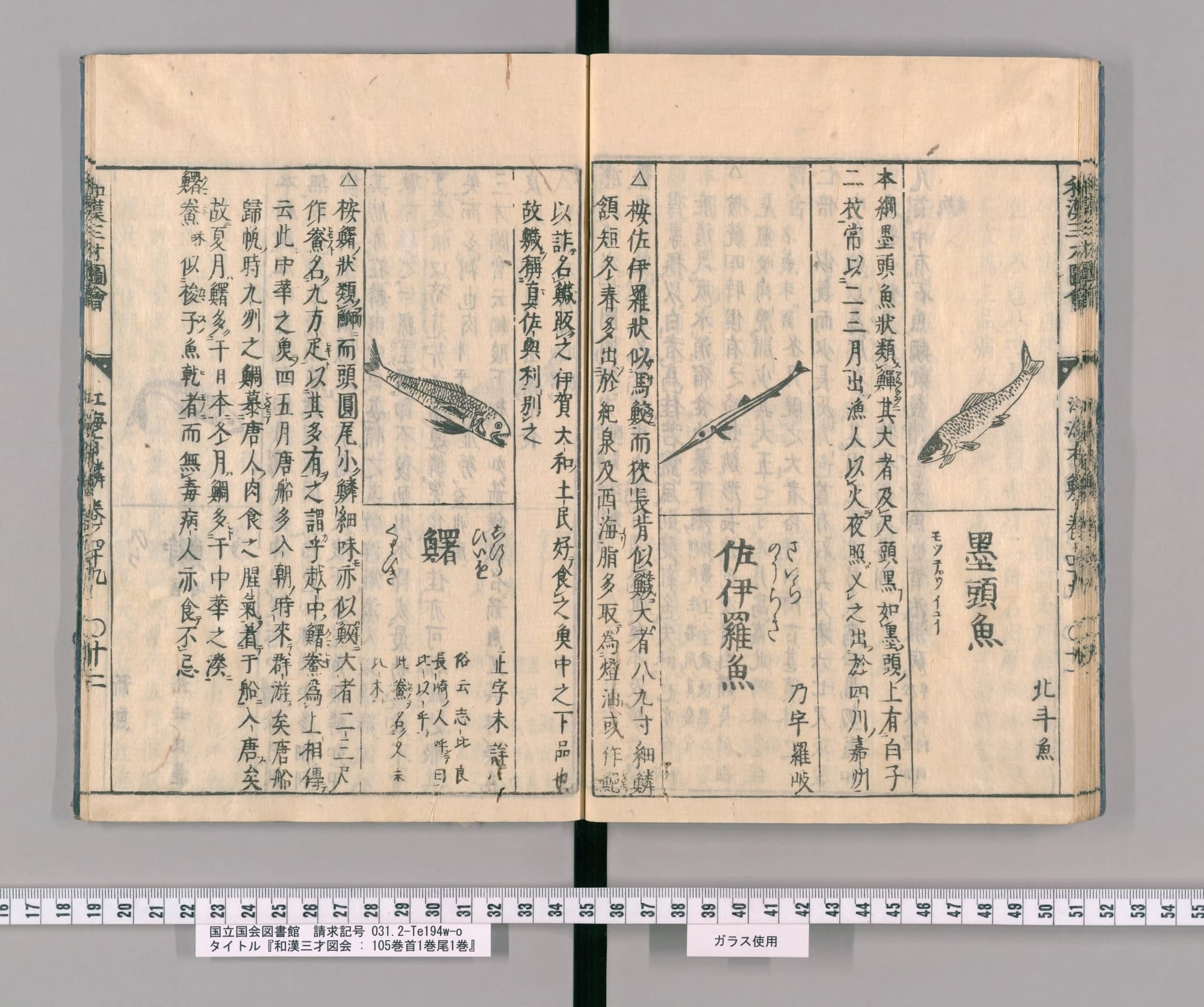 『和漢三才図会』巻四十九コマ29の見開き。右ページに墨頭魚と佐伊羅魚、左ページの中ほどに魚の絵と見出し