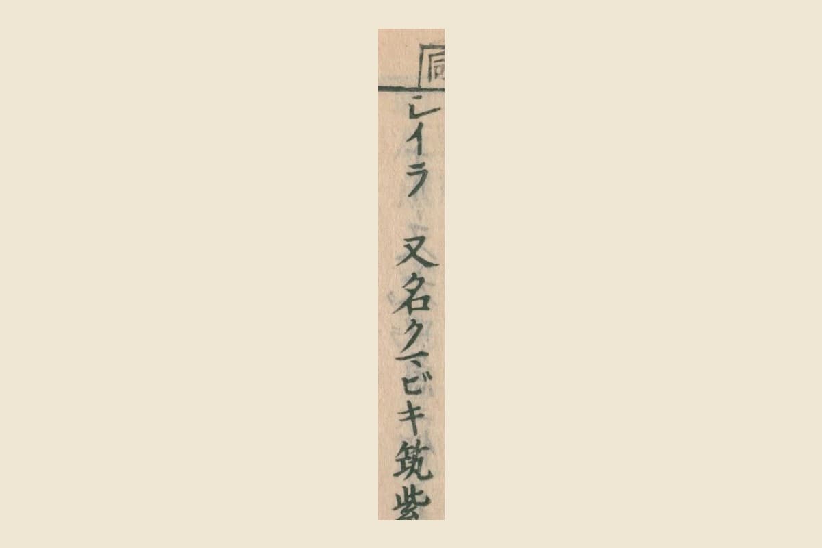 『大和本草』巻十三コマ34のカタカナの見出し「シイラ」と「又名クマビキ筑紫ニテ」の大写し