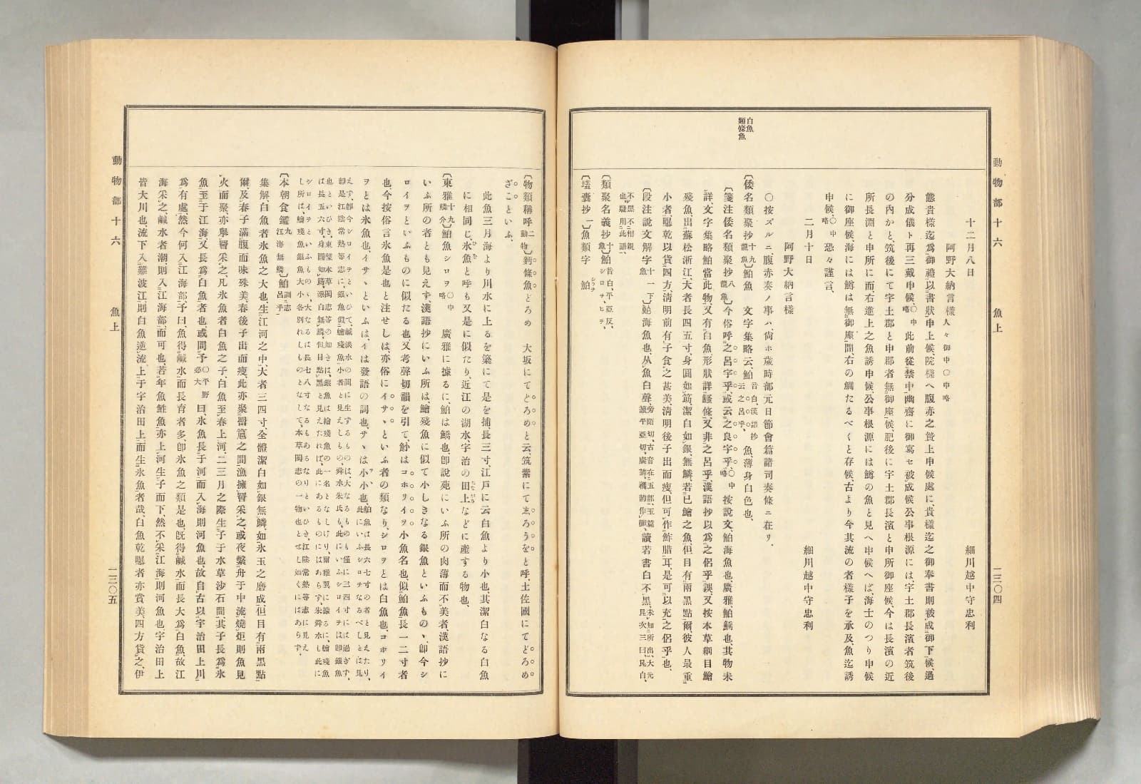 『古事類苑』動物部を開いたところ。右ページ上部の欄外に「白魚 麪條魚」とある