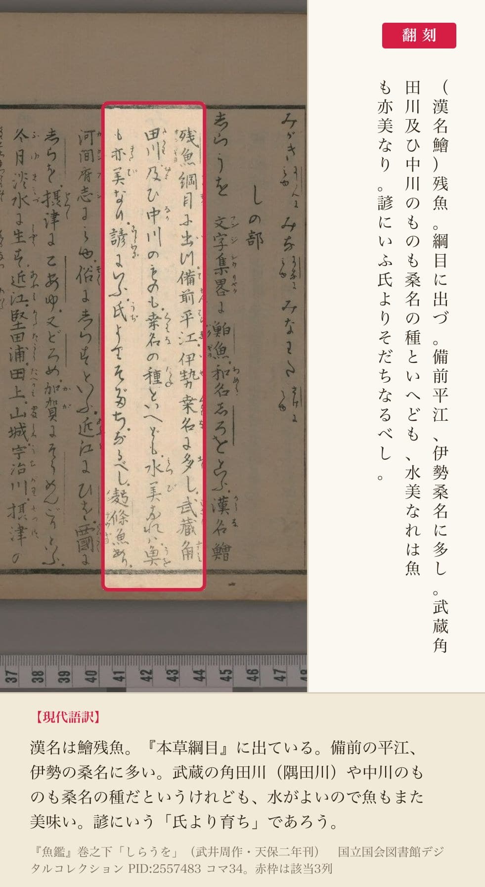 『魚鑑』巻之下「しらうを」の項、産地と「氏よりそだち」を記した3列と翻刻